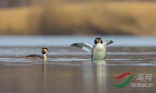 ET2W0360.jpg