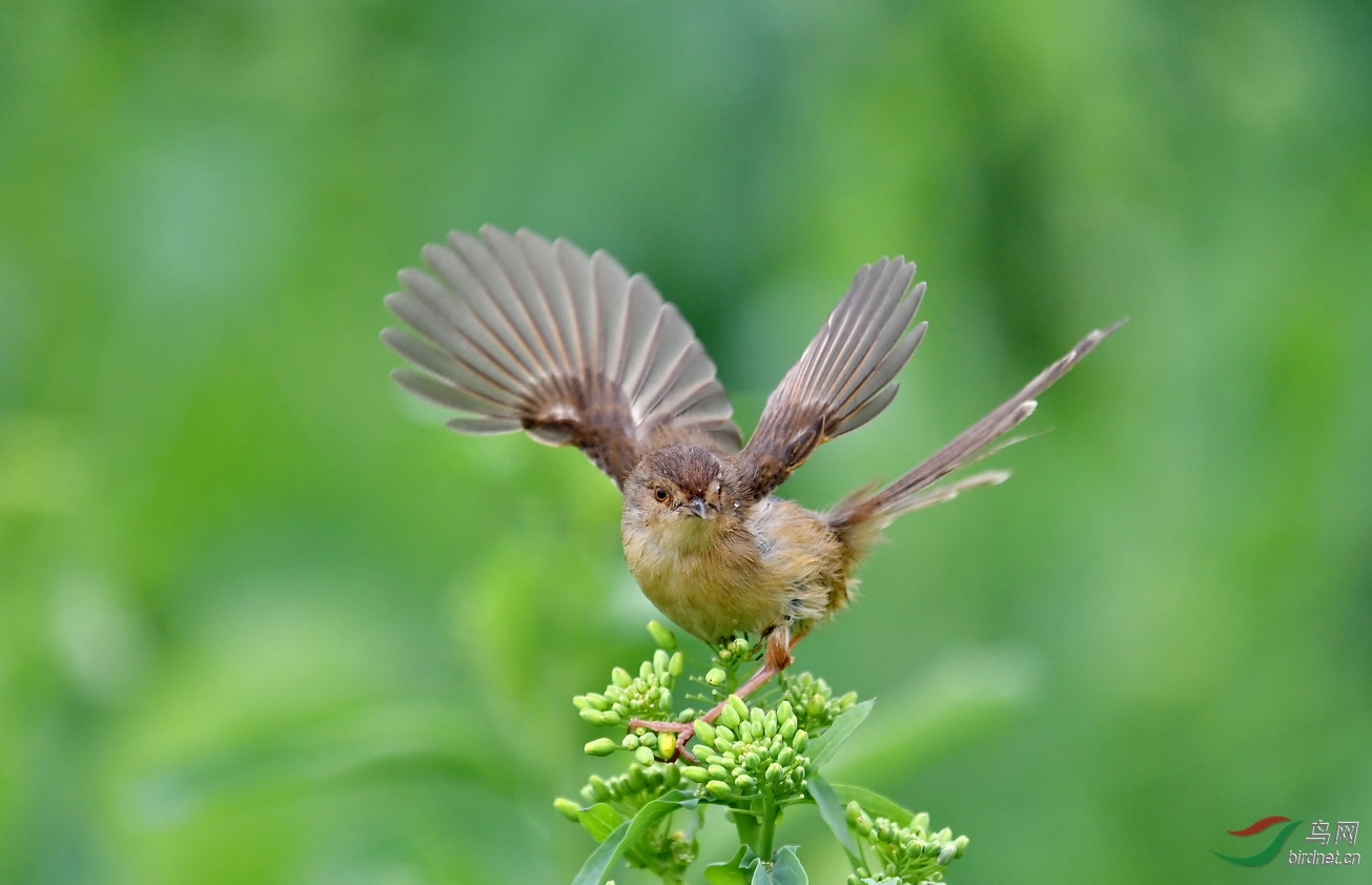 DSC_4717a.JPG