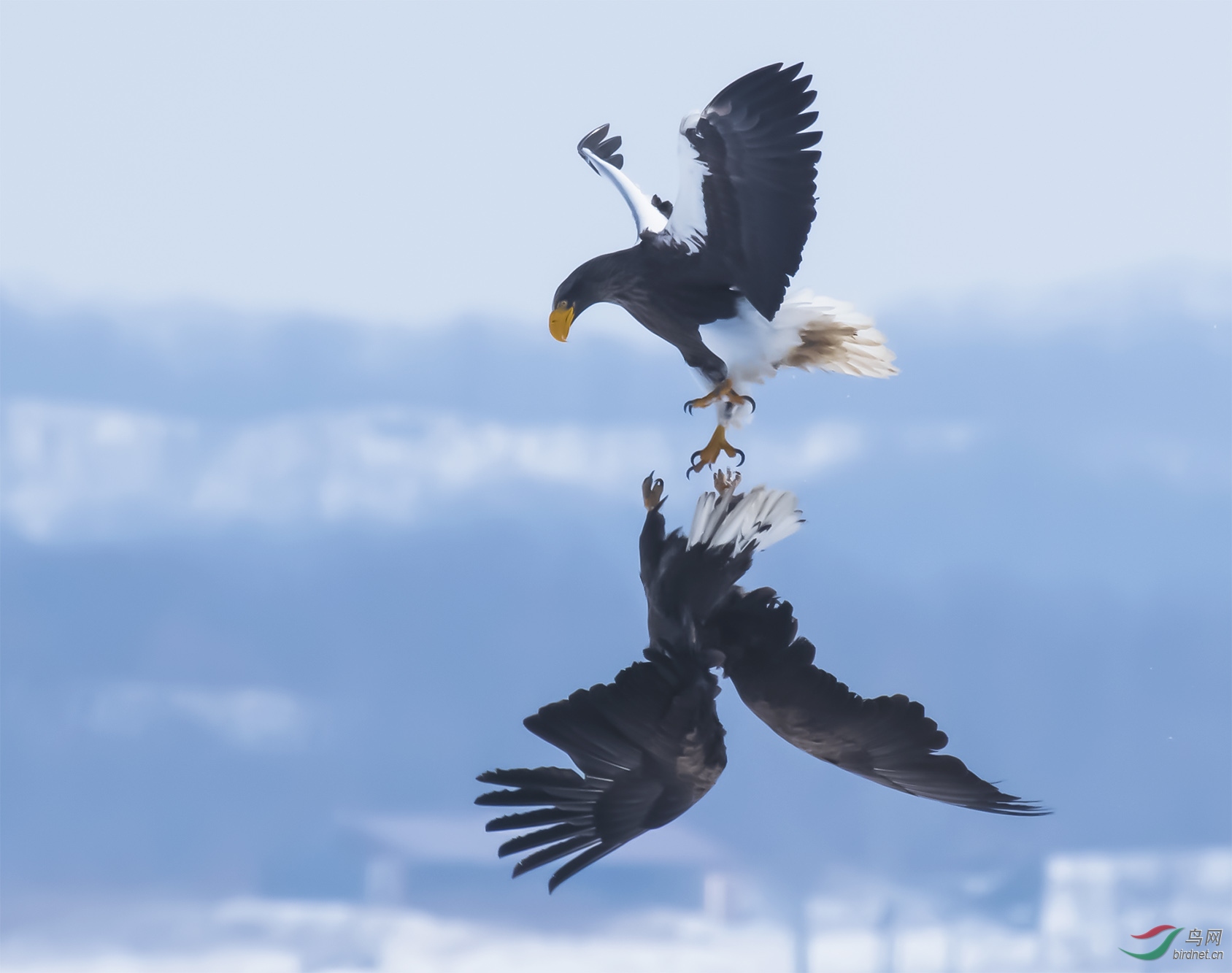 ȫ������ʤ��Ϊ��