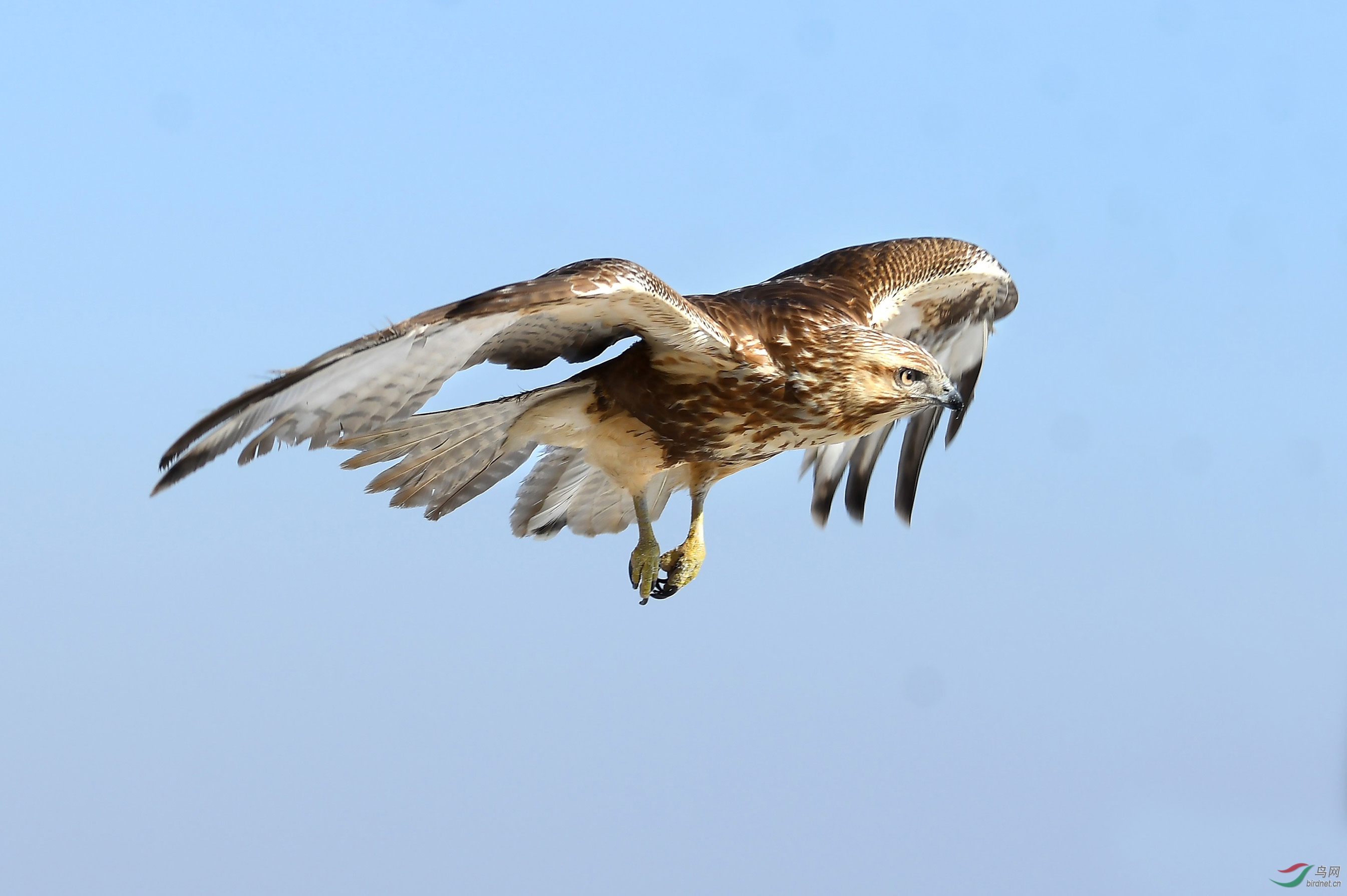 5.ֱ��Ŀ��2����ͨ��