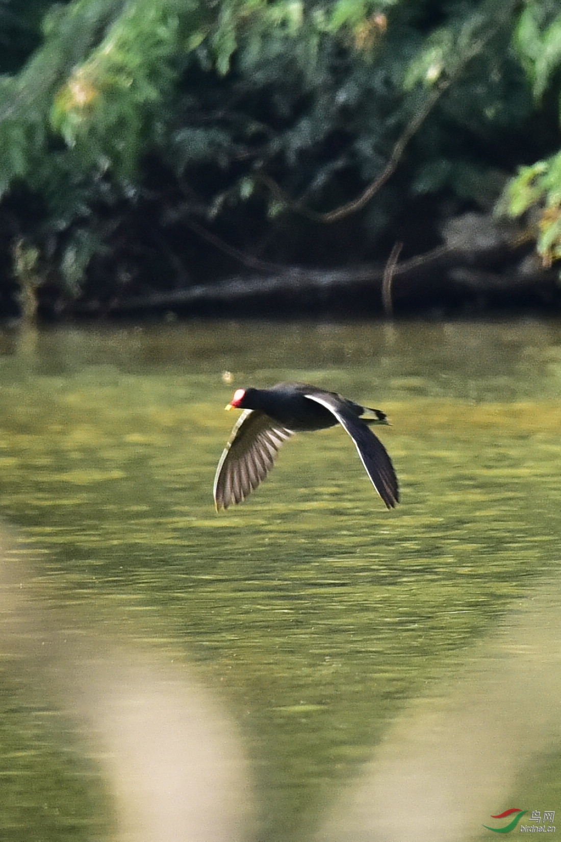 DSC_0002.JPG