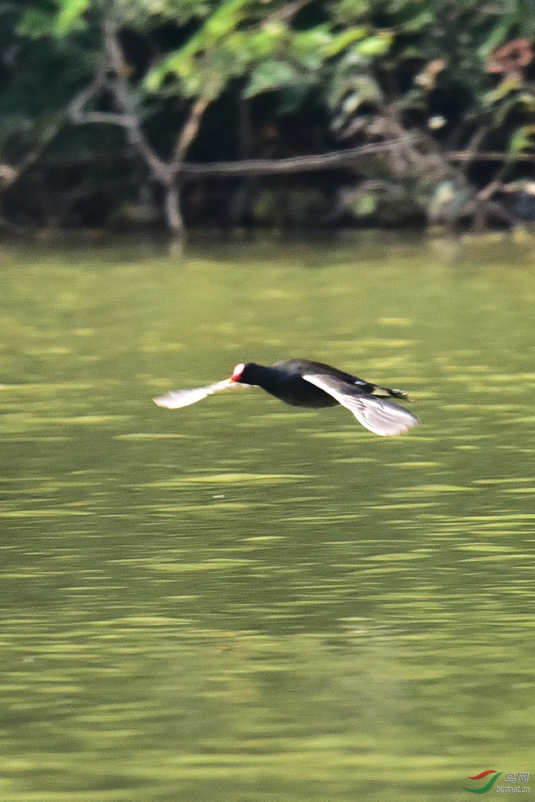 DSC_0003.JPG
