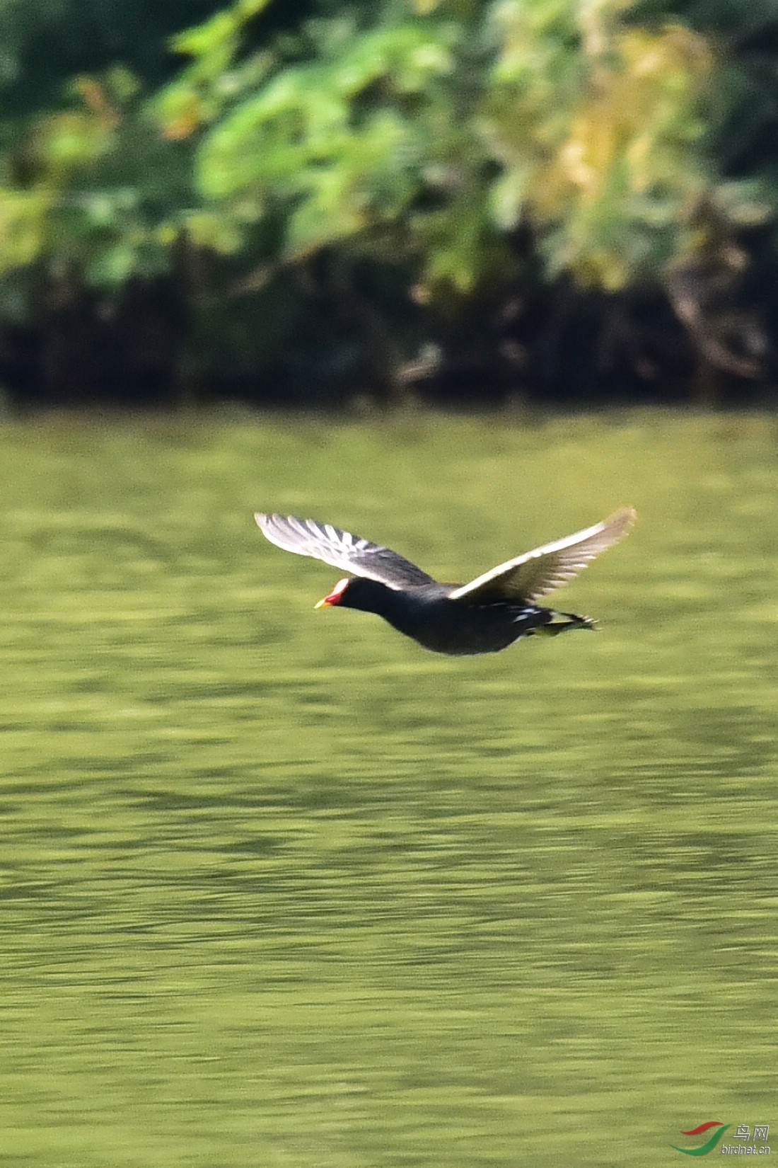DSC_0004.JPG
