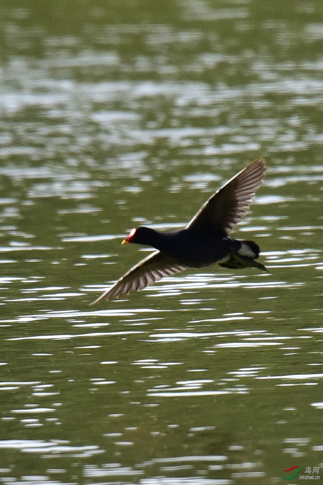 DSC_0007.JPG