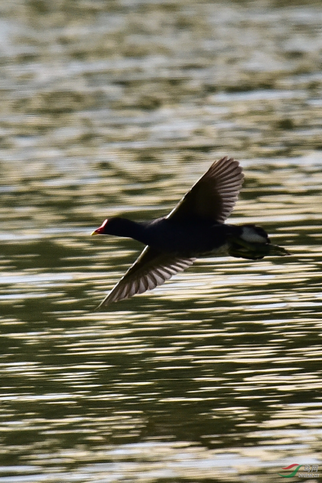 DSC_0009.JPG