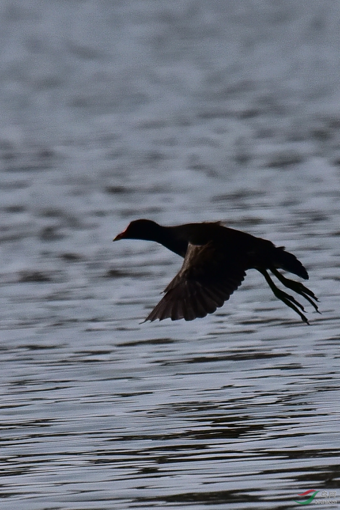 DSC_0015.JPG