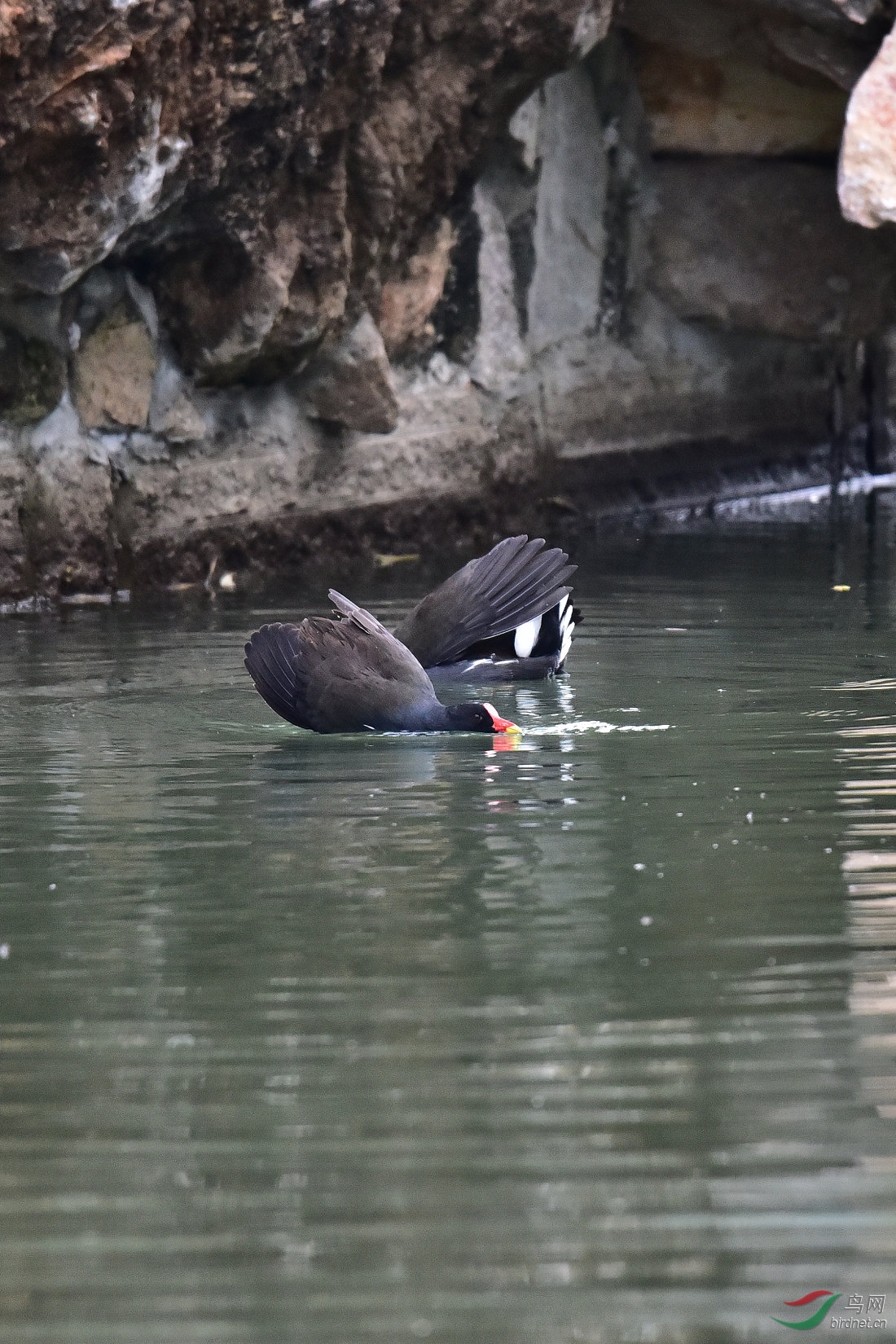 DSC_0021.JPG