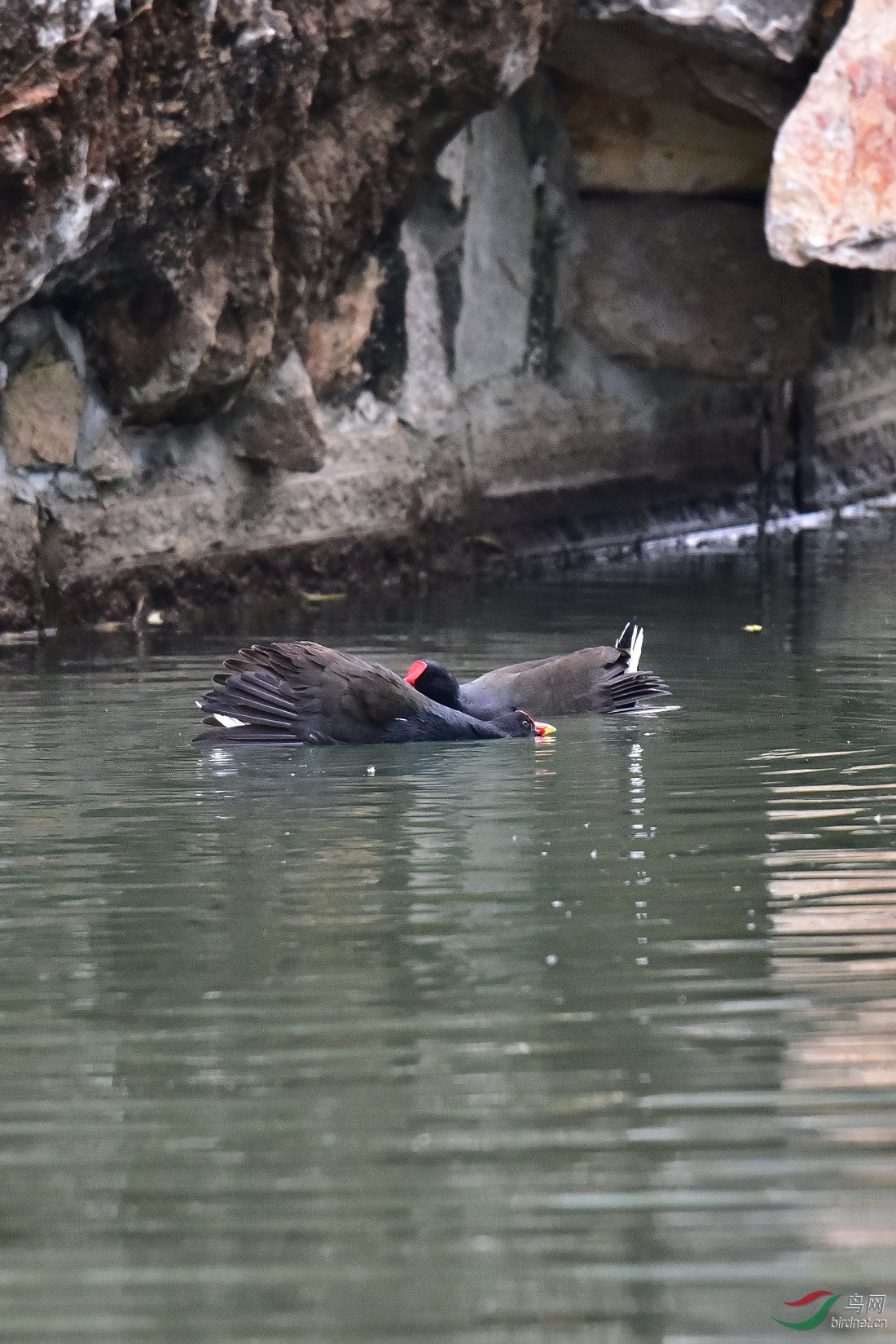 DSC_0022.JPG