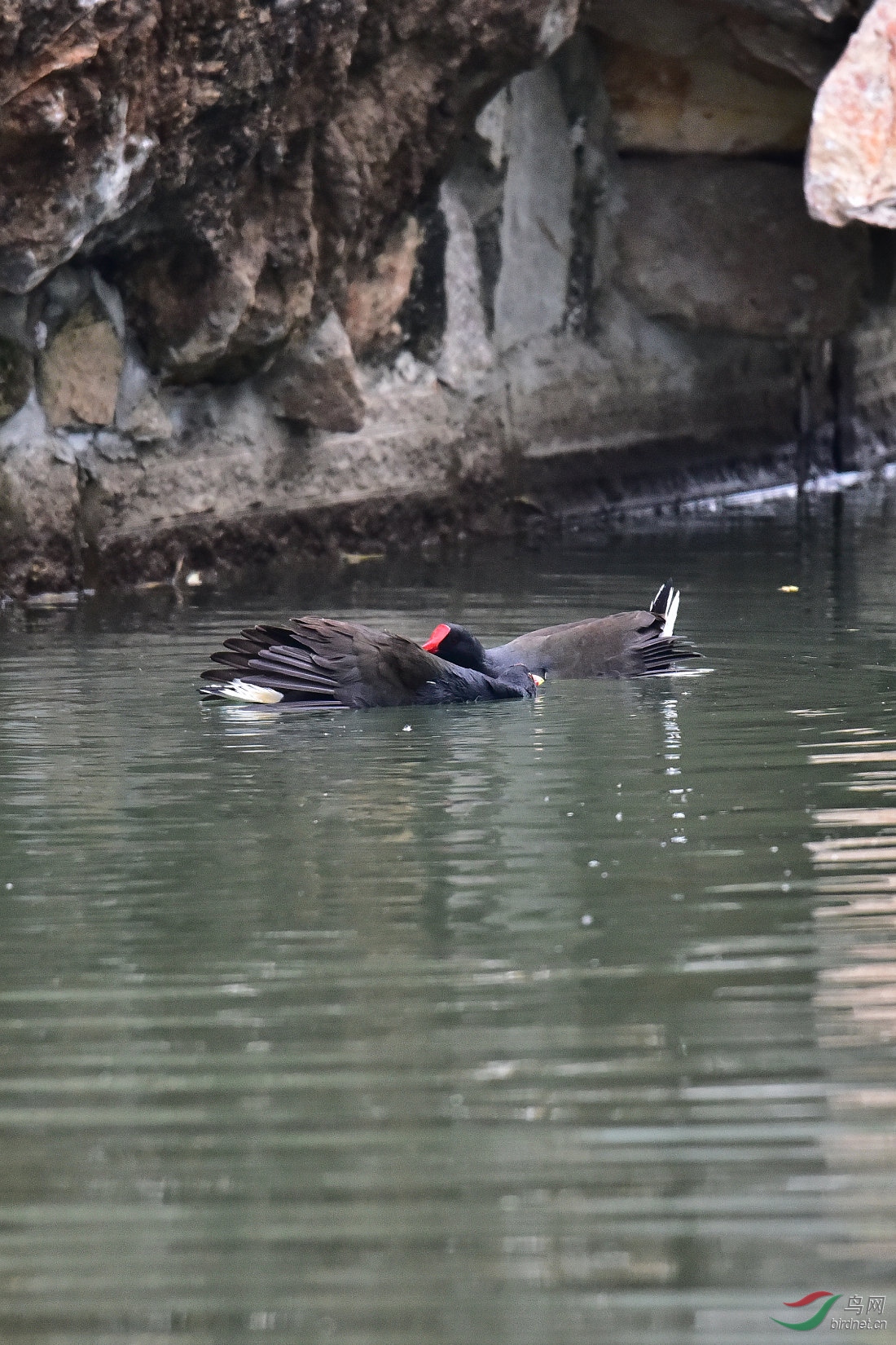 DSC_0023.JPG