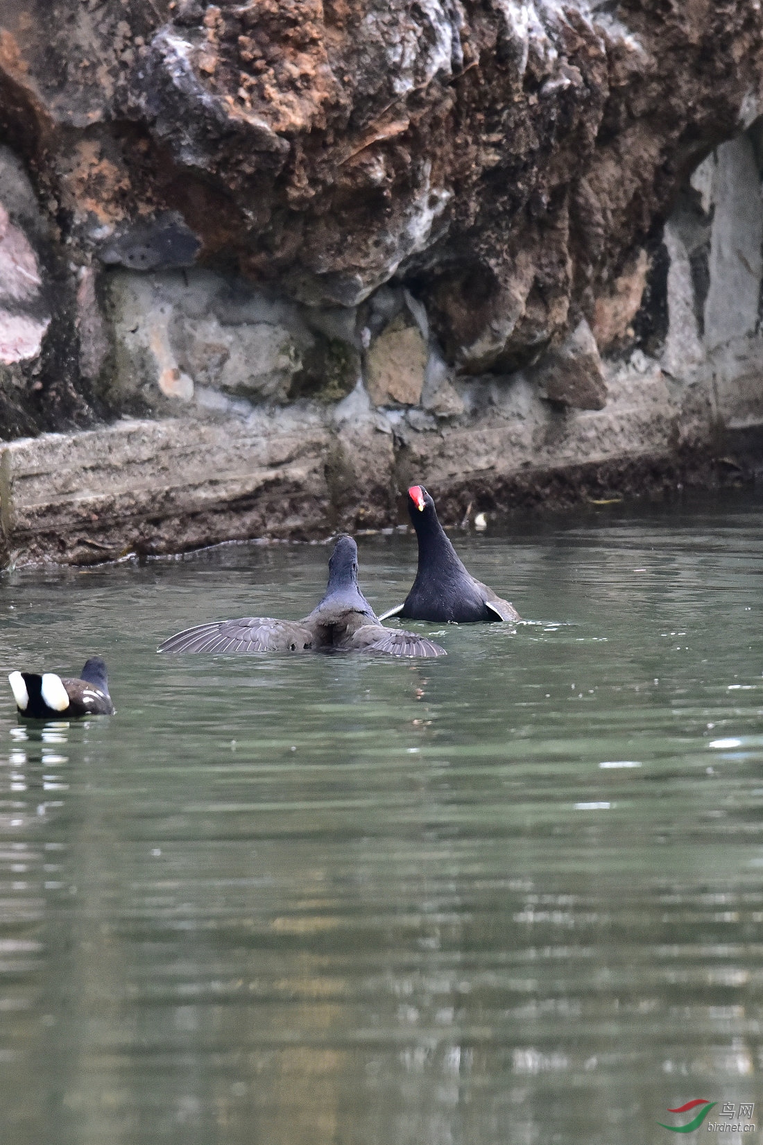 DSC_0028.JPG
