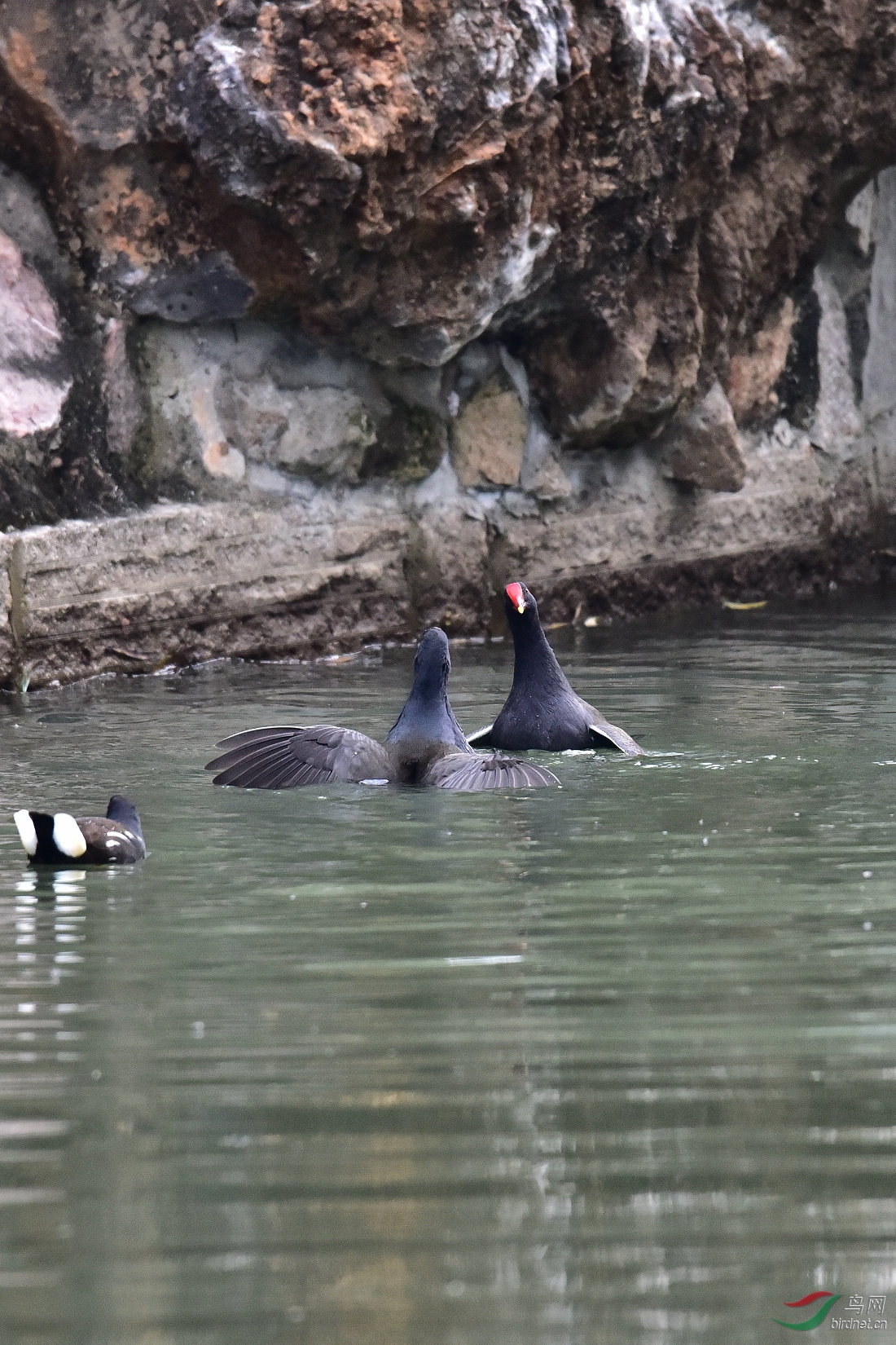 DSC_0029.JPG