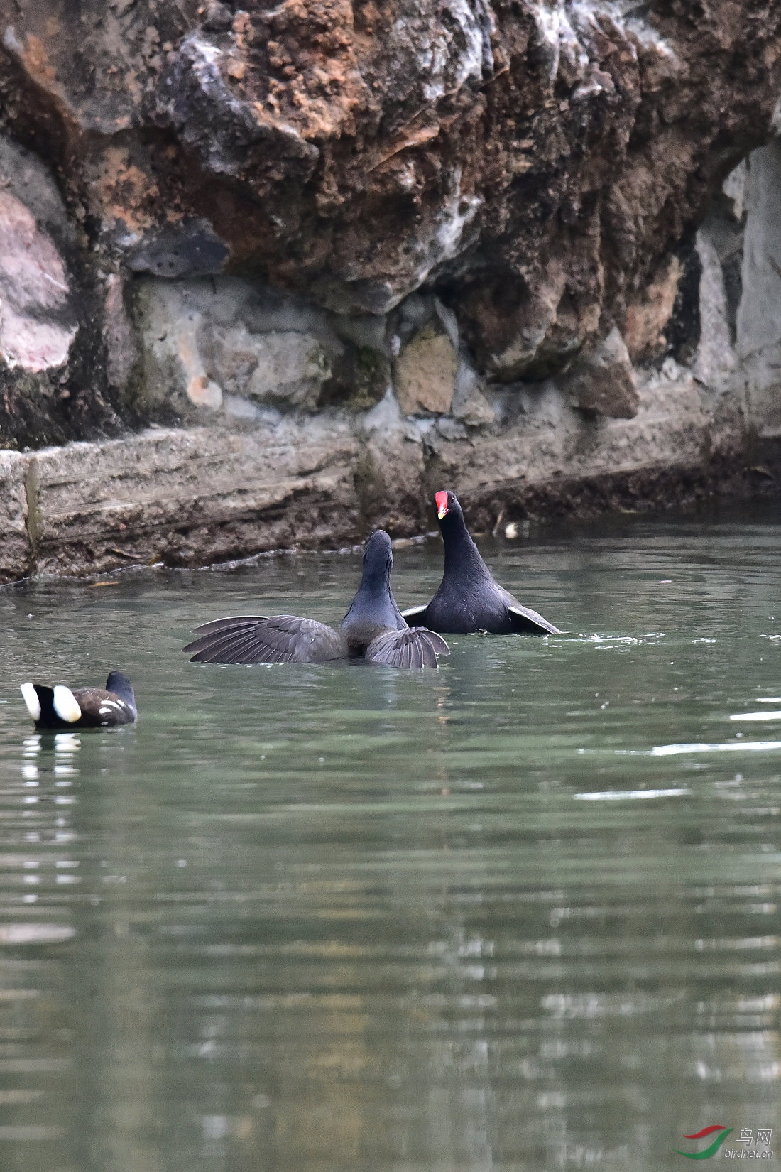 DSC_0030.JPG