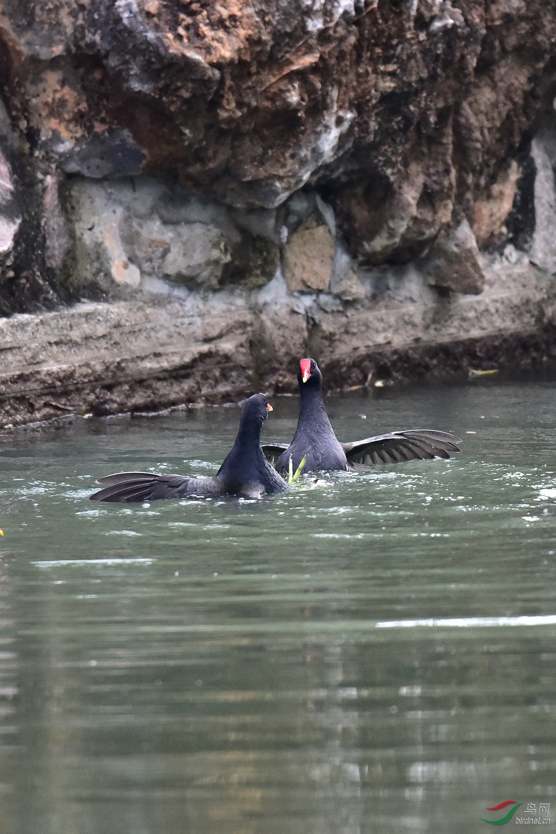 DSC_0038.JPG