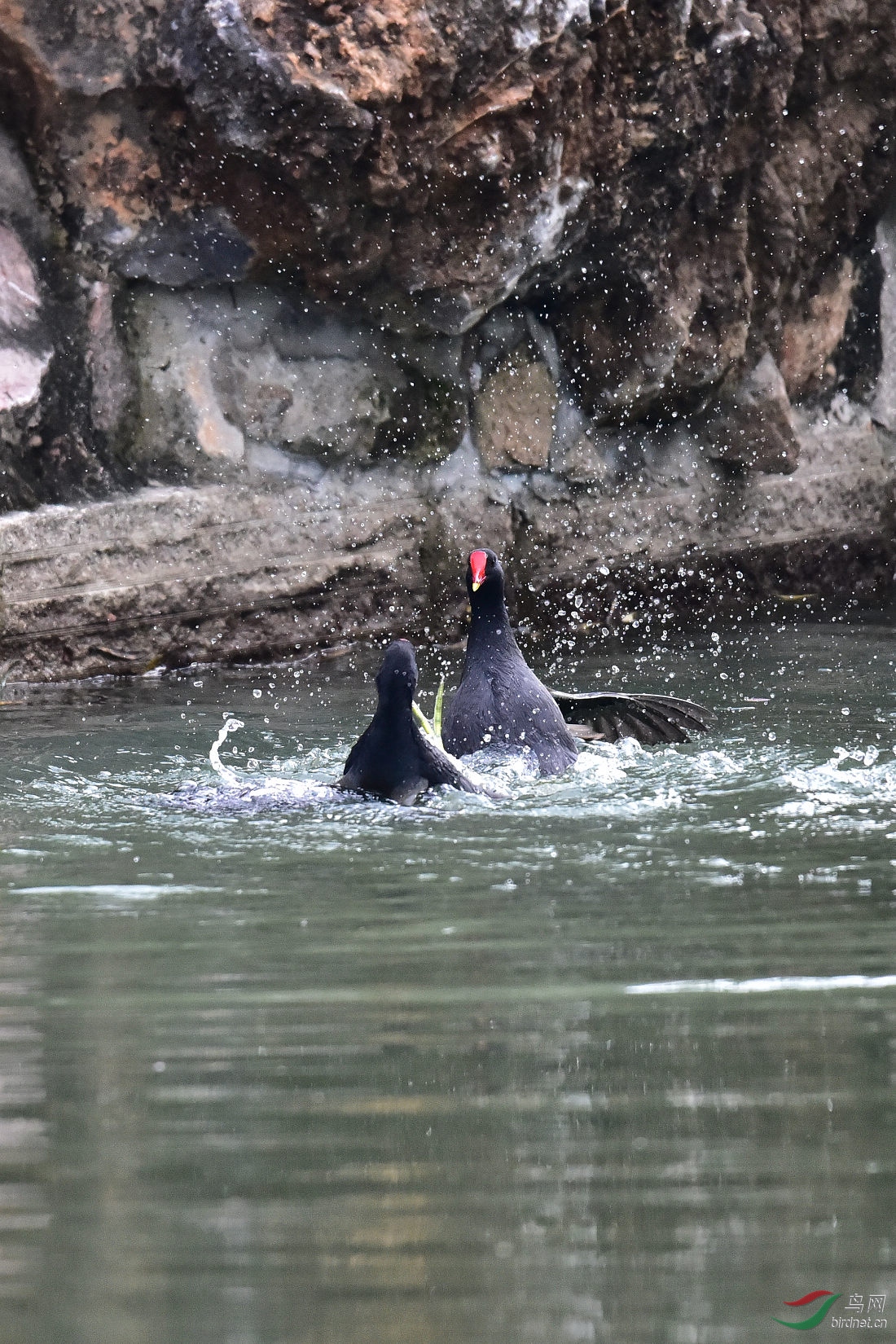 DSC_0040.JPG