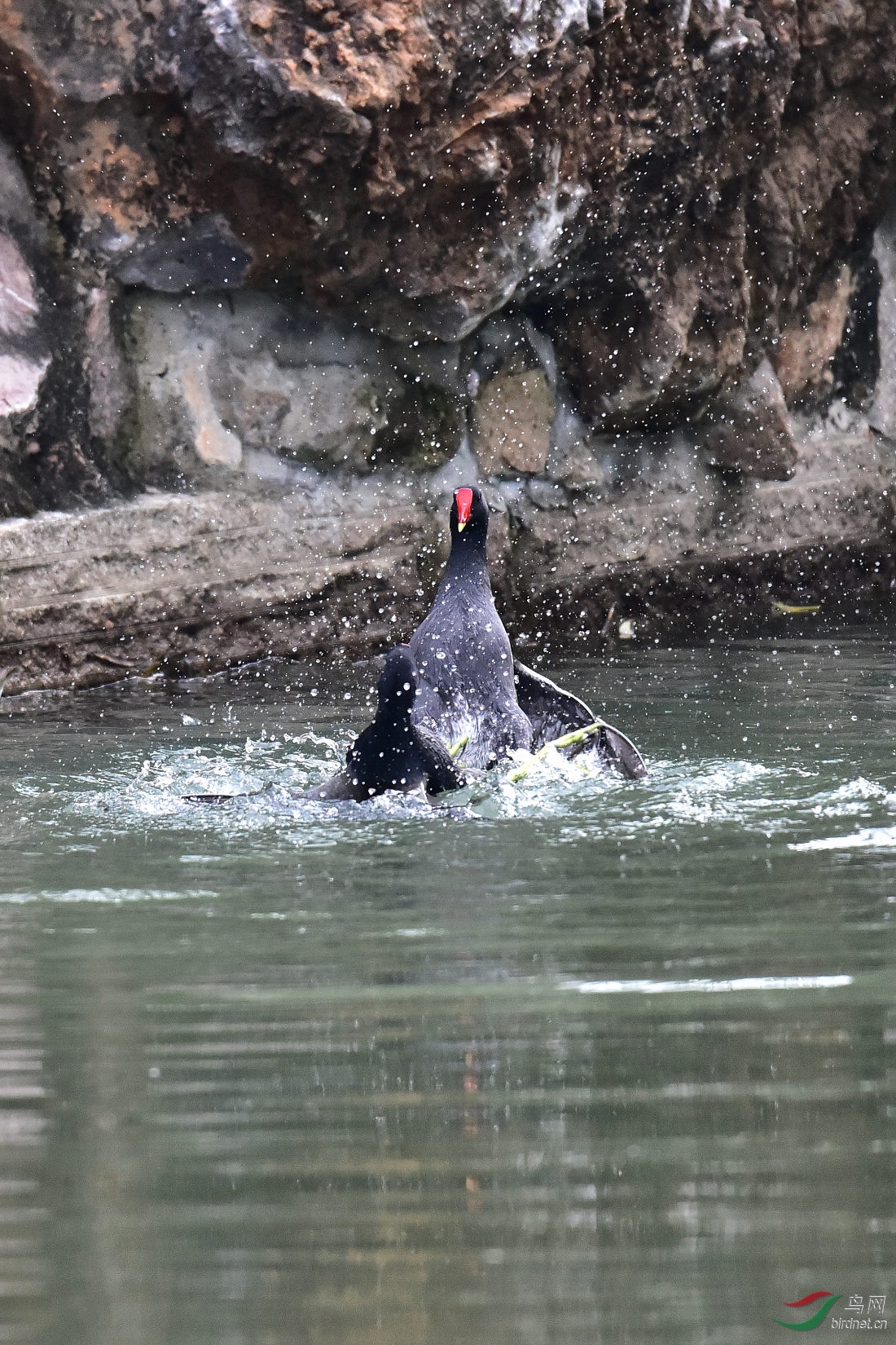 DSC_0041.JPG