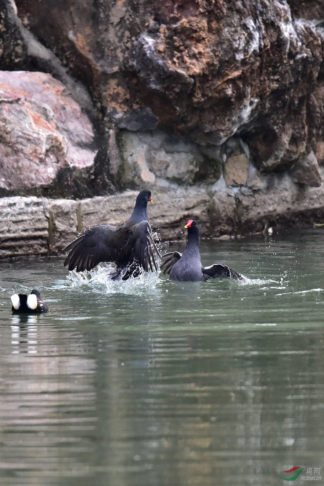 DSC_0047.JPG