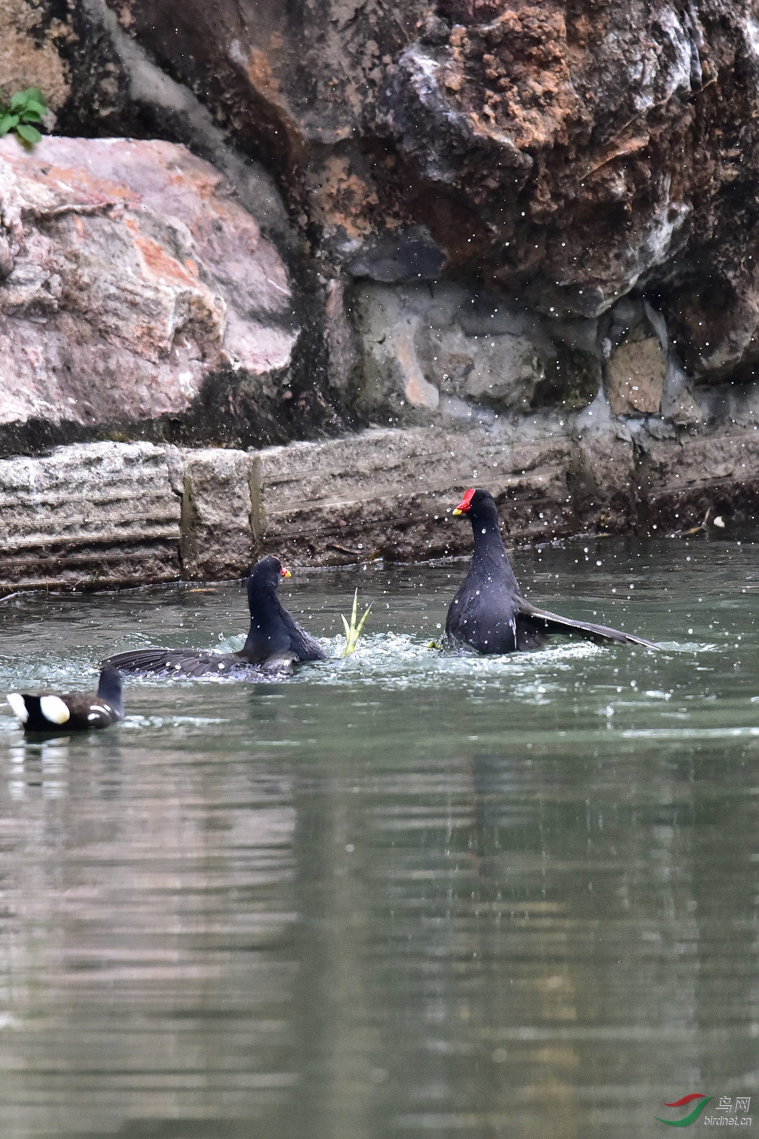 DSC_0050.JPG