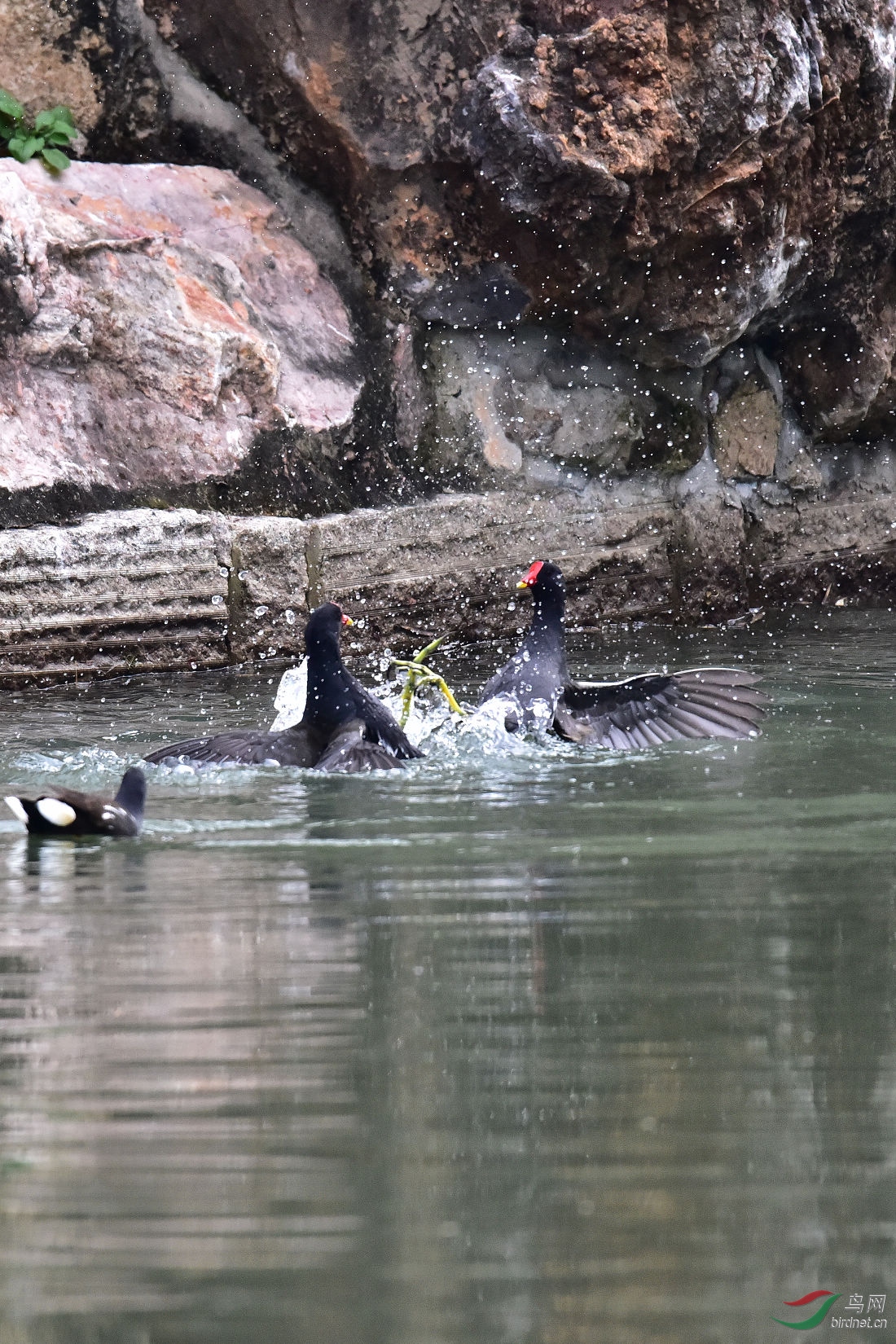 DSC_0051.JPG