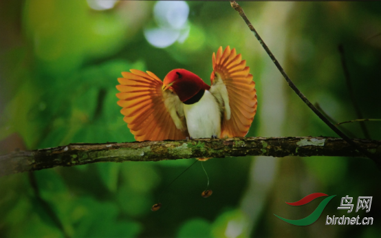 15��ӡ�����Ͳ��ǵ�����������783.png