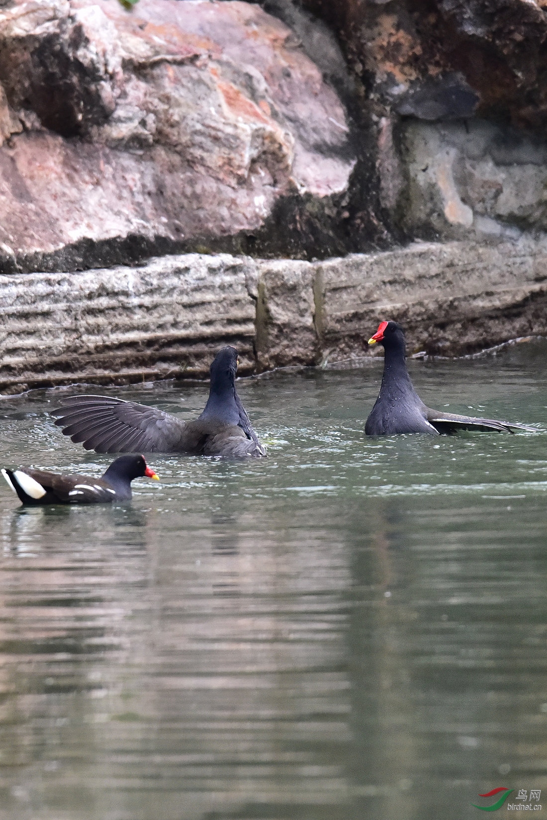 DSC_0053.JPG