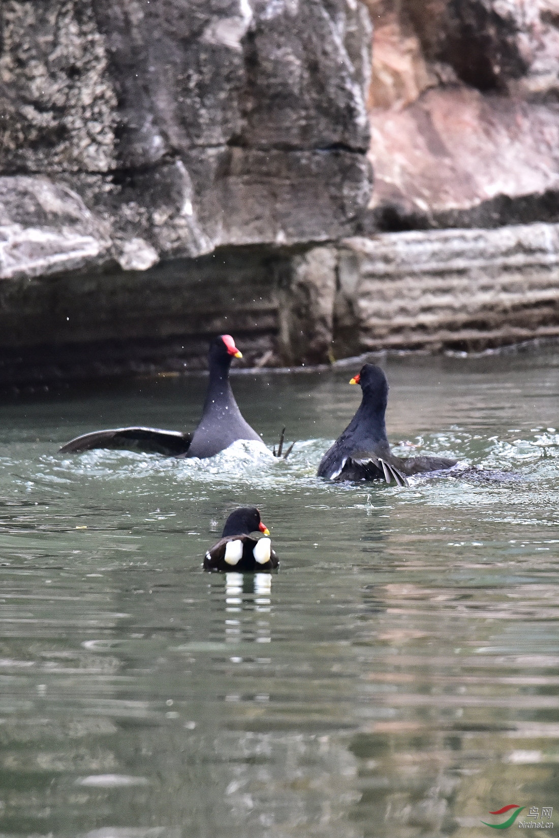 DSC_0056.JPG
