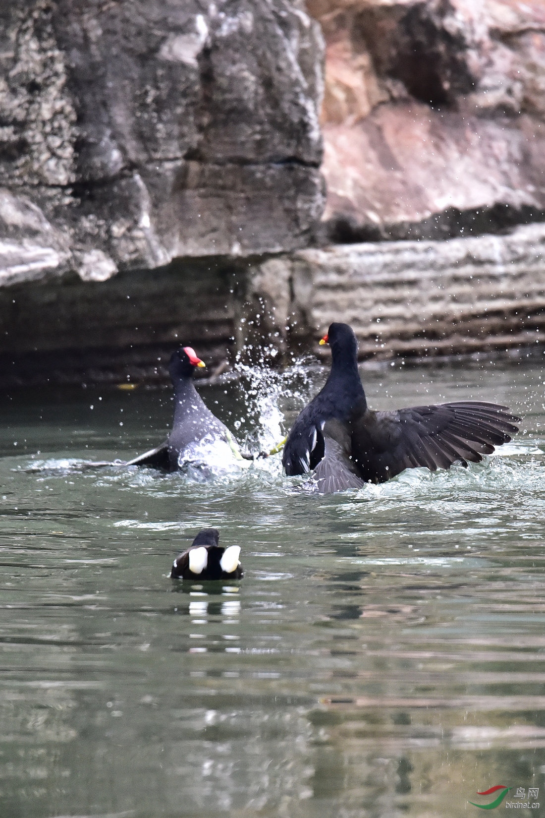 DSC_0058.JPG