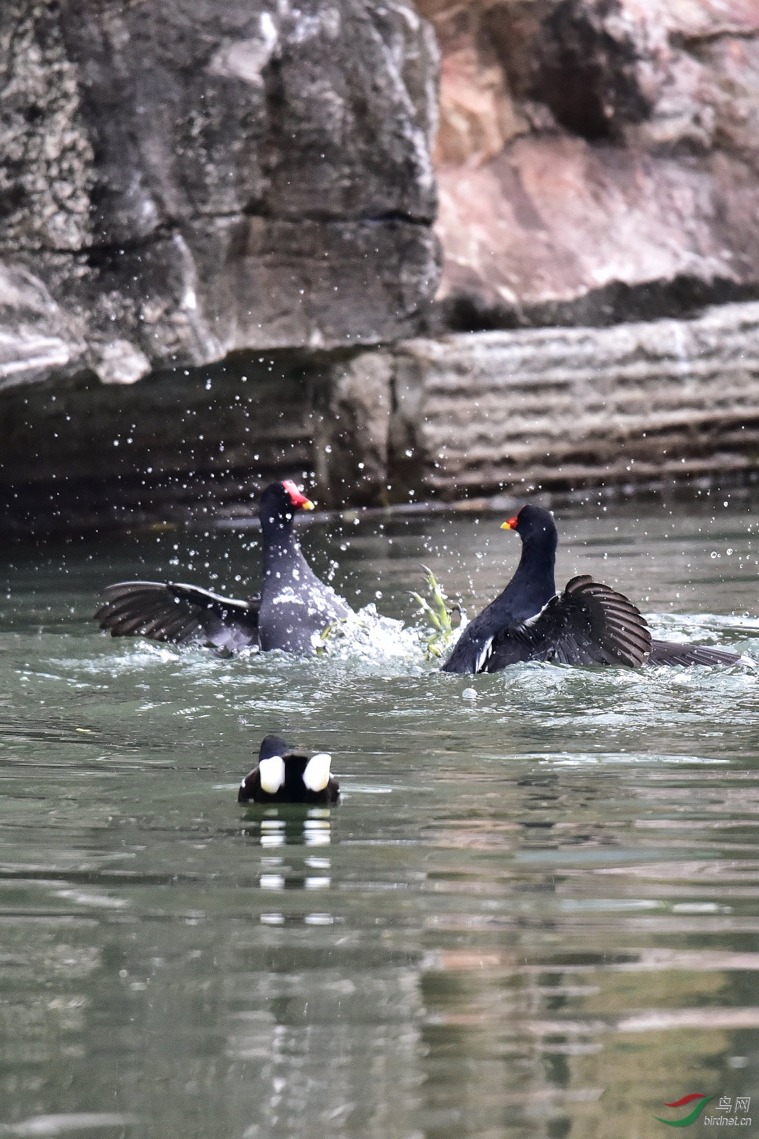 DSC_0059.JPG