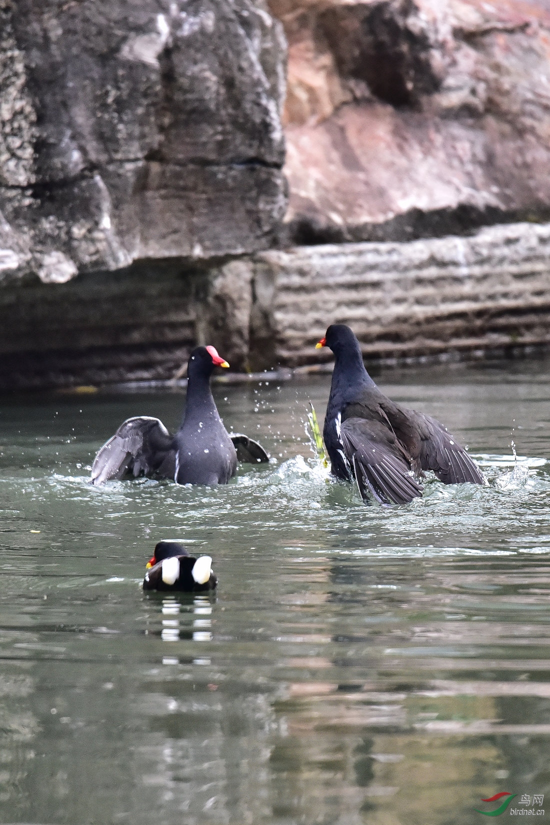 DSC_0060.JPG