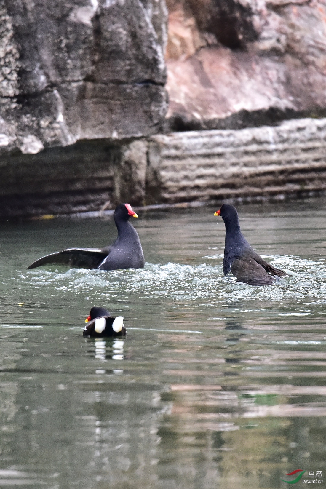 DSC_0061.JPG