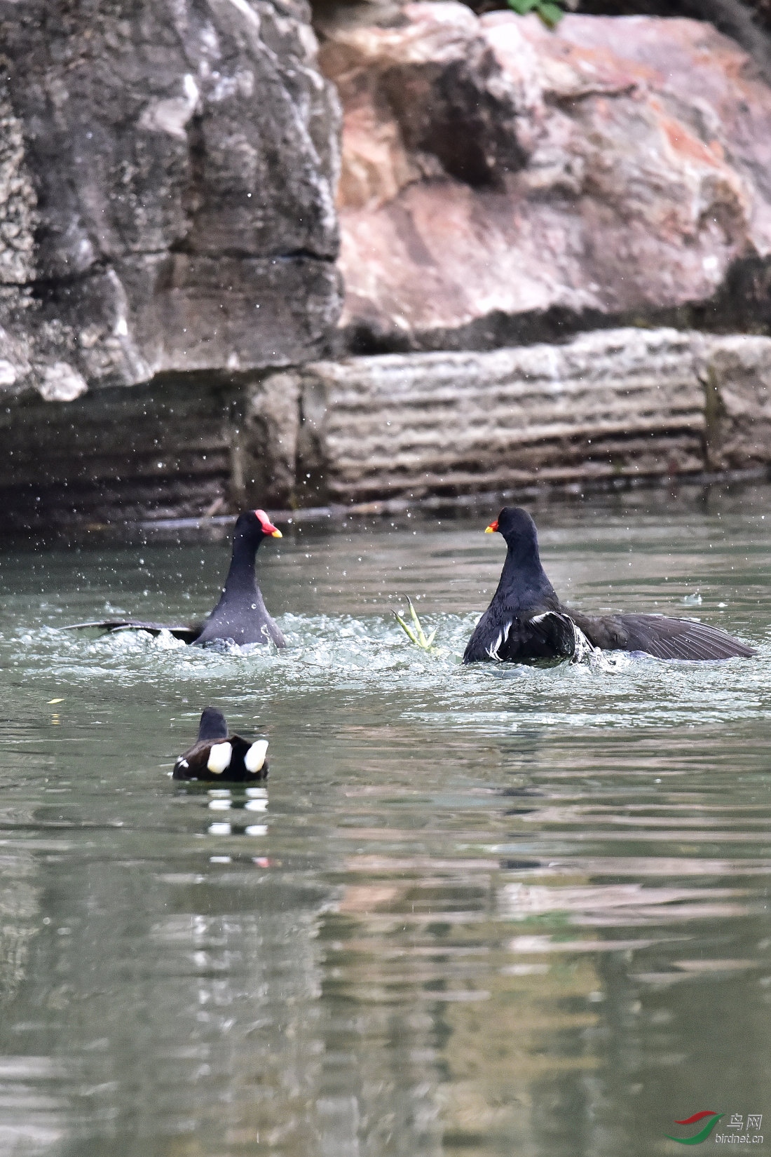 DSC_0062.JPG