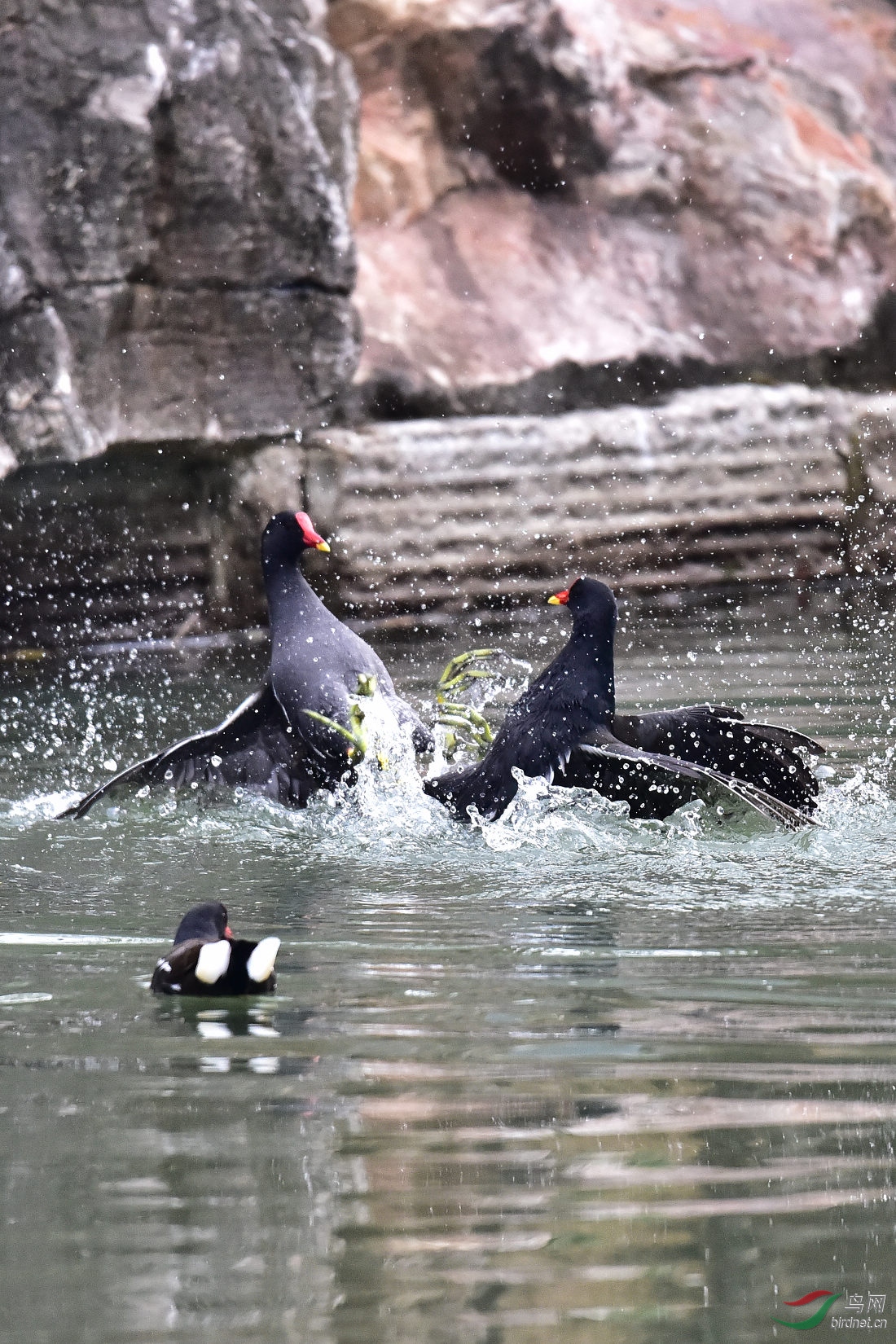 DSC_0064.JPG