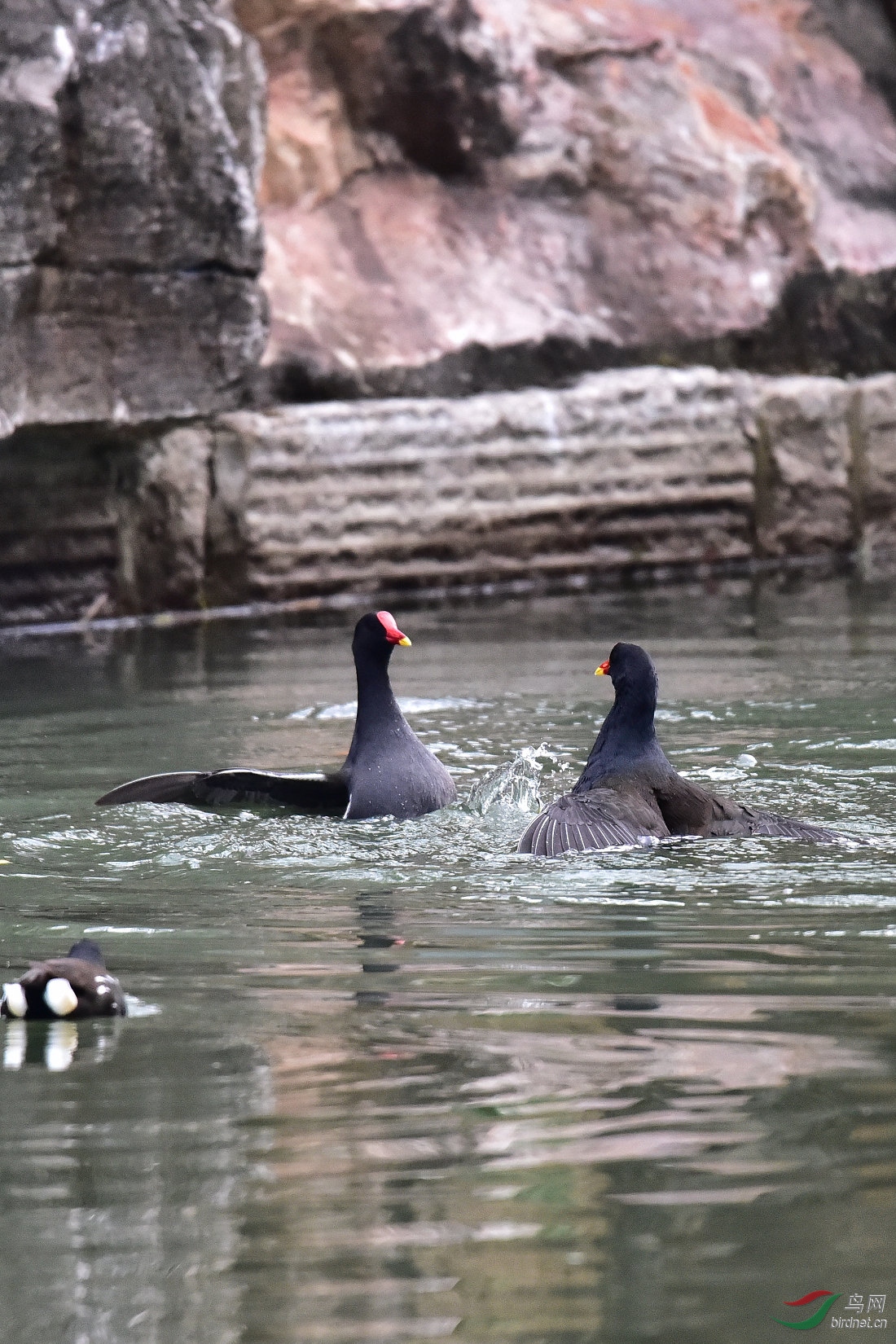 DSC_0070.JPG