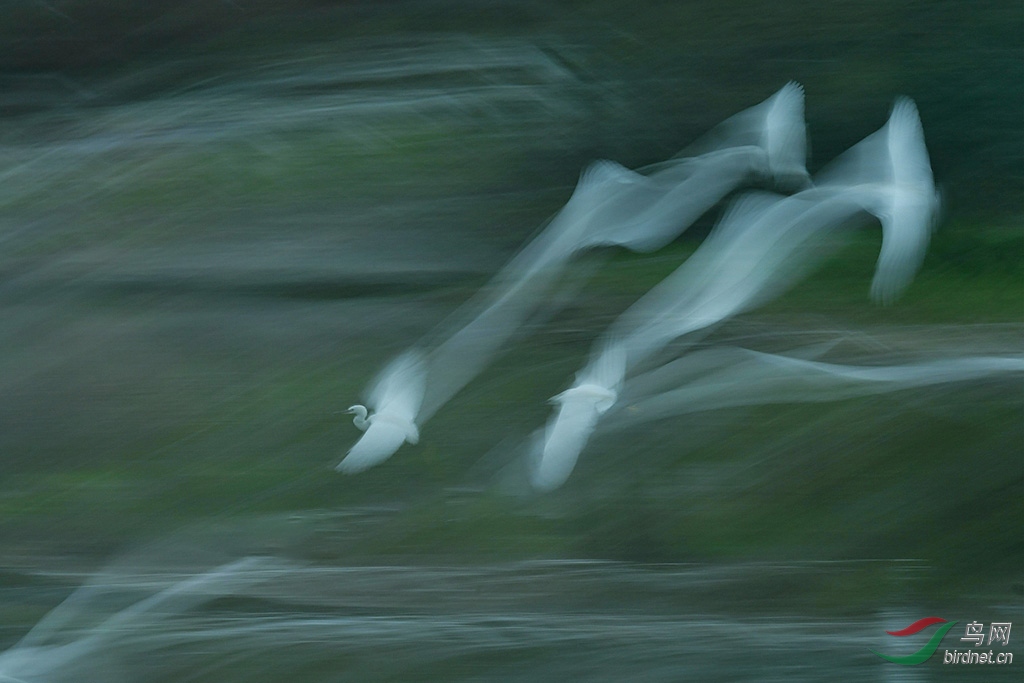 DSC_0290.jpg