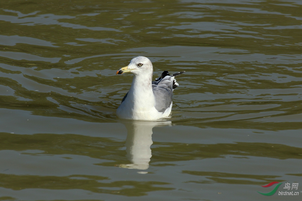 367A8441_����.jpg