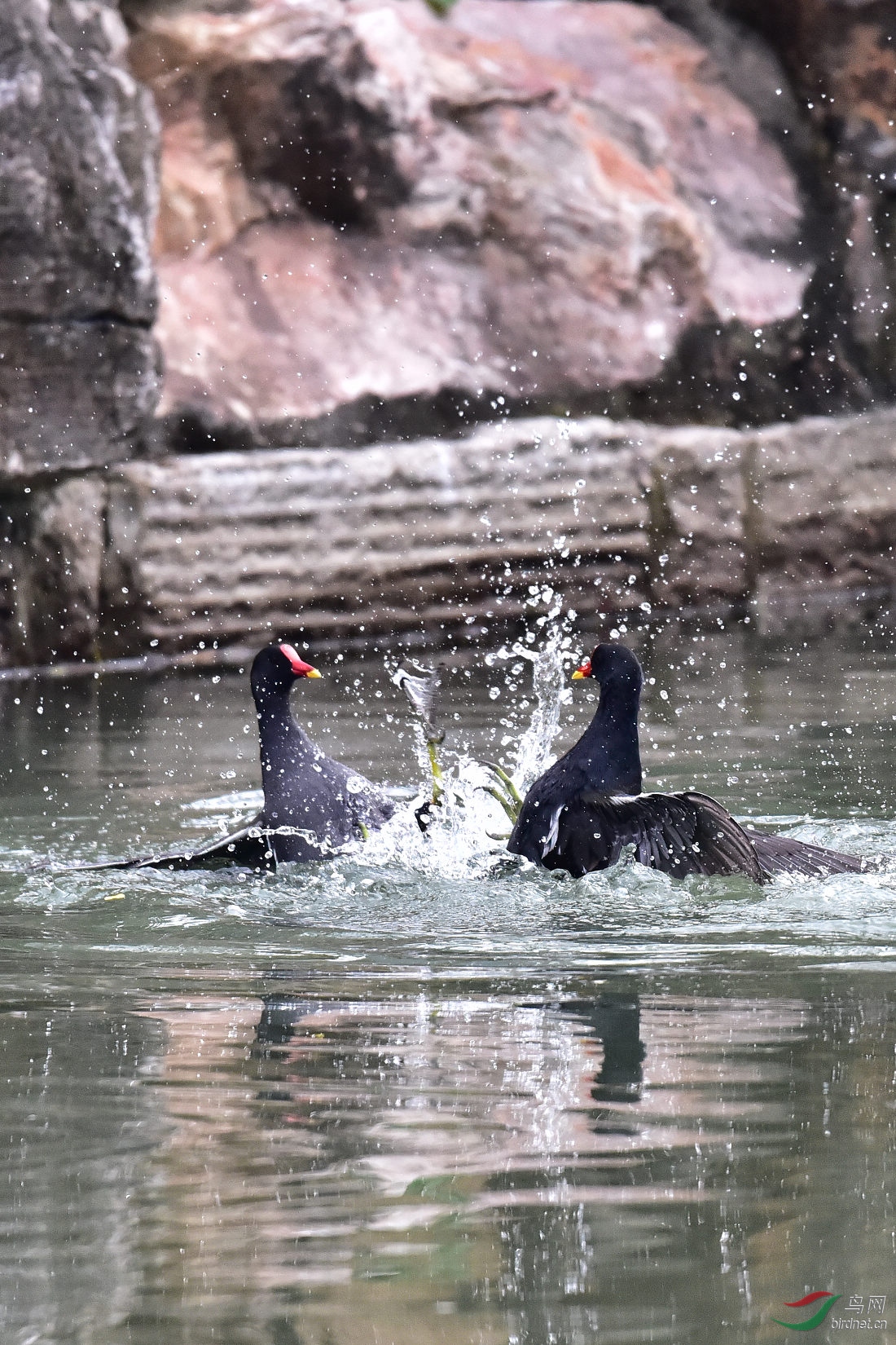 DSC_0075.JPG