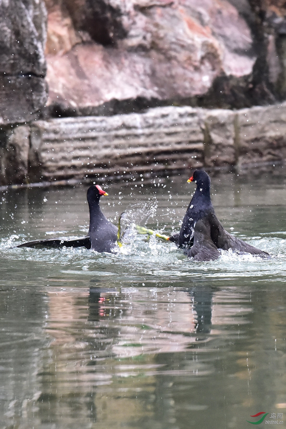 DSC_0076.JPG