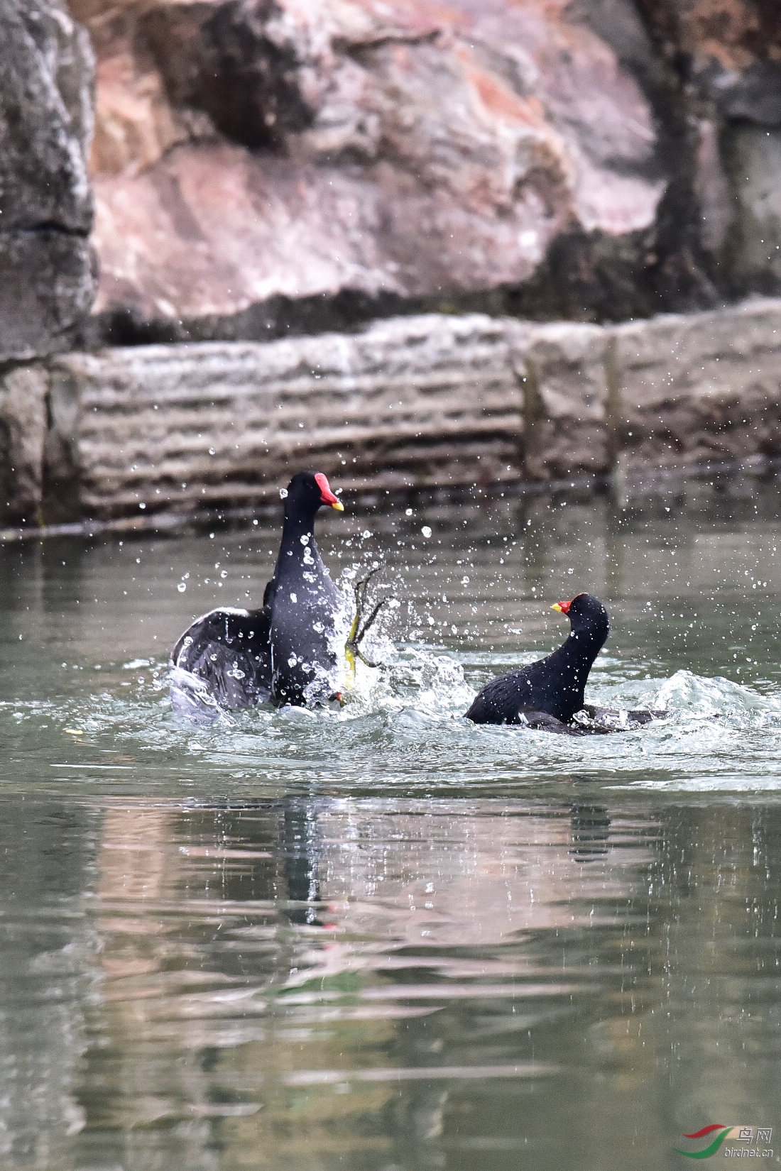 DSC_0077.JPG