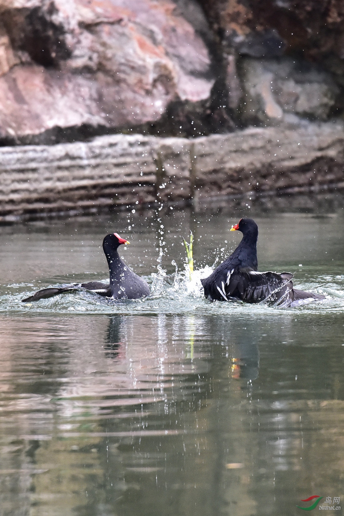 DSC_0081.JPG