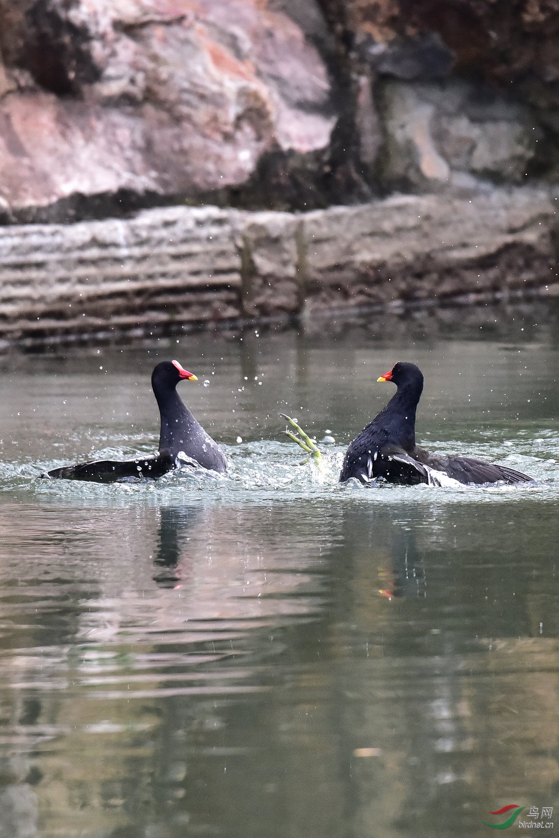 DSC_0082.JPG