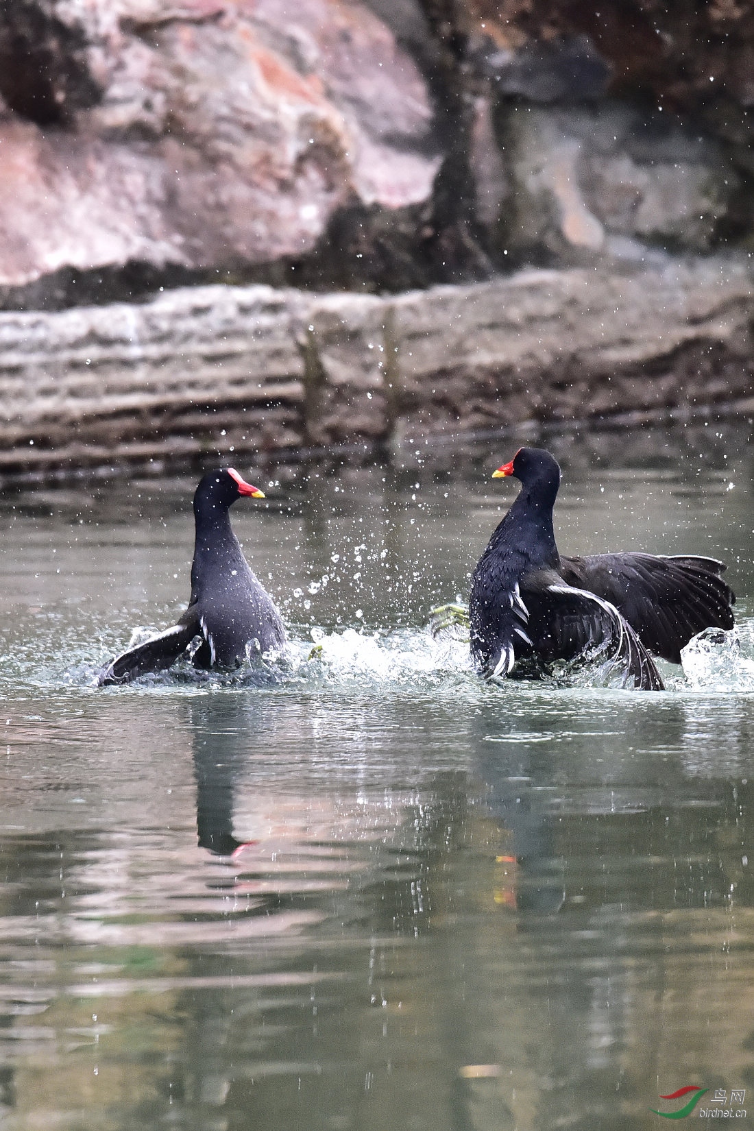 DSC_0084.JPG