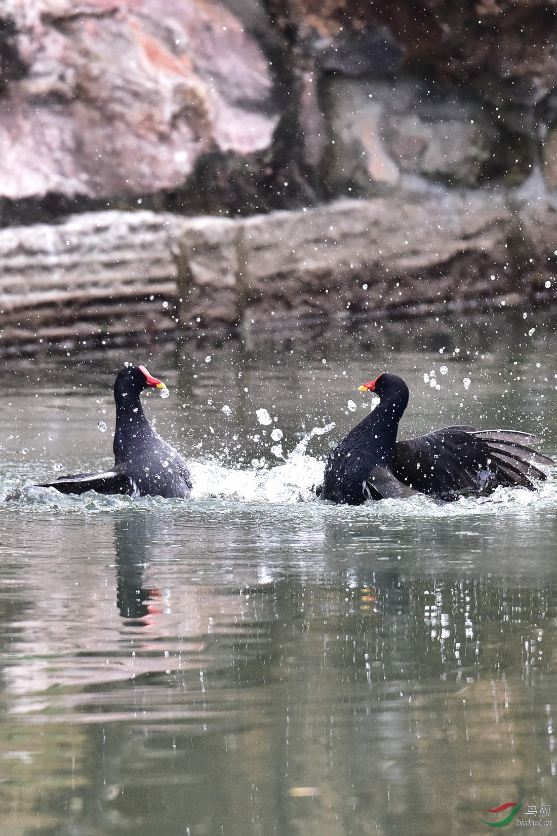 DSC_0085.JPG