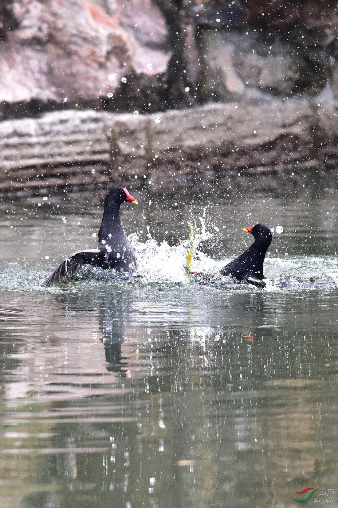 DSC_0086.JPG