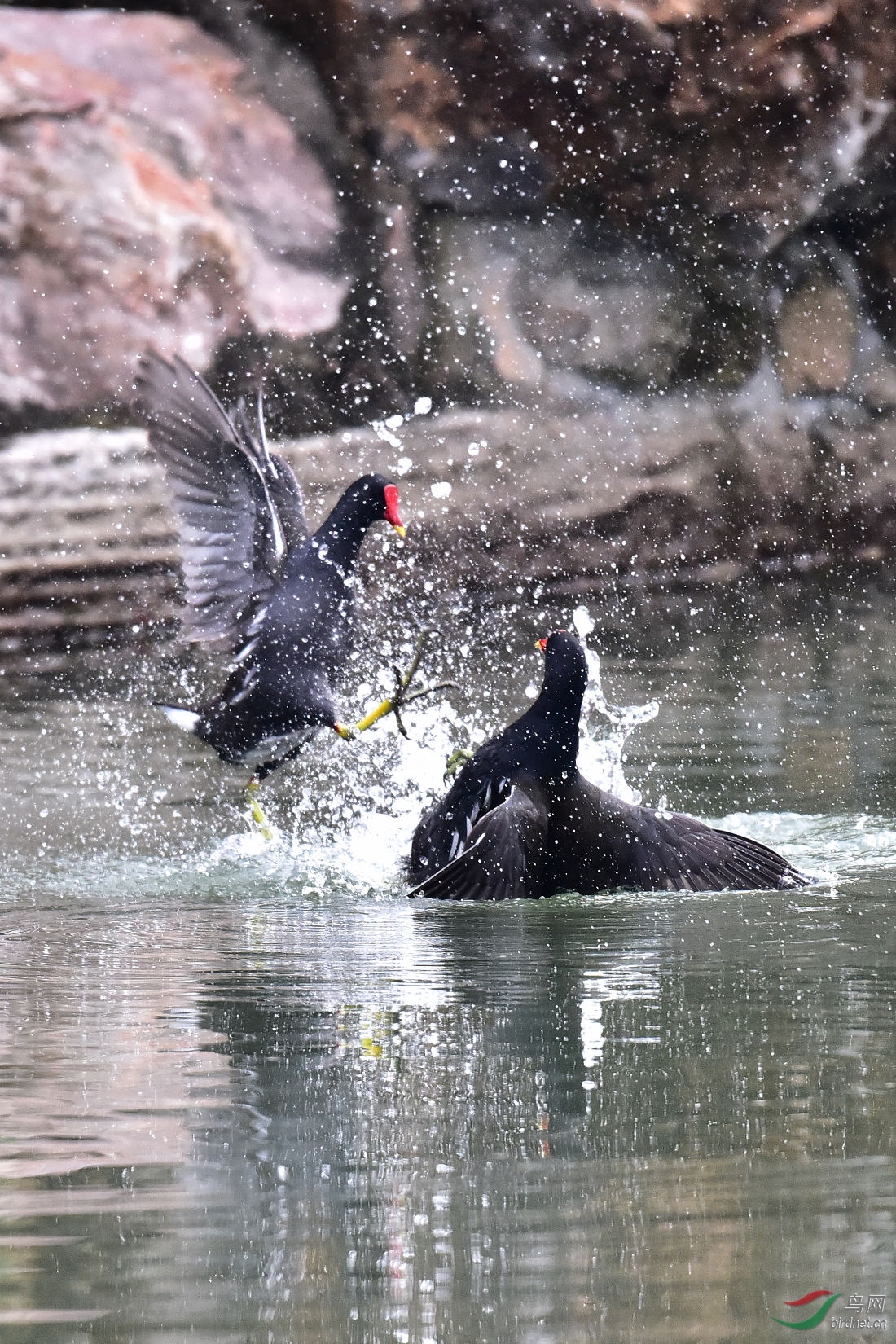DSC_0087.JPG