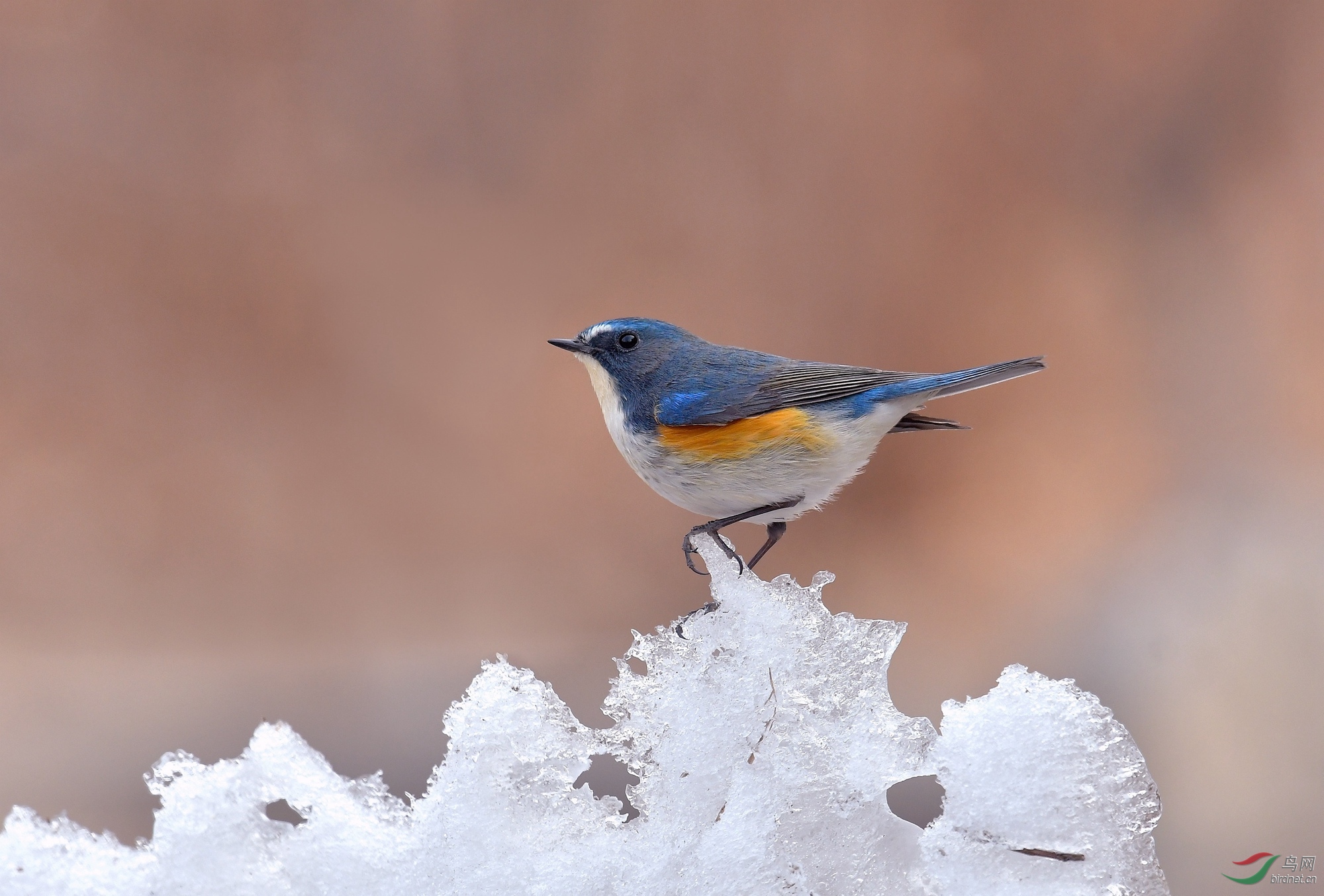 DSC_2430.jpg