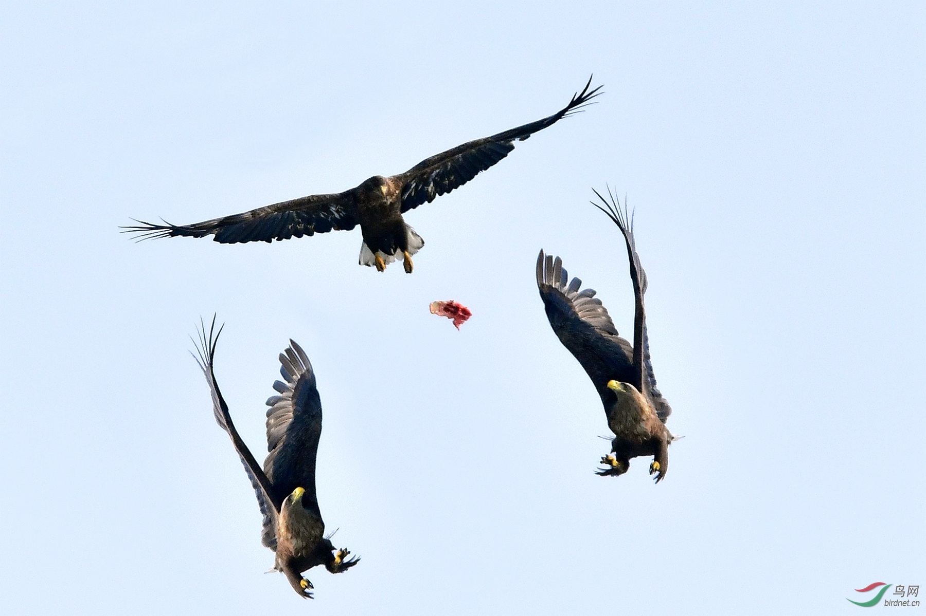 IYK_5071_�� _����.jpg