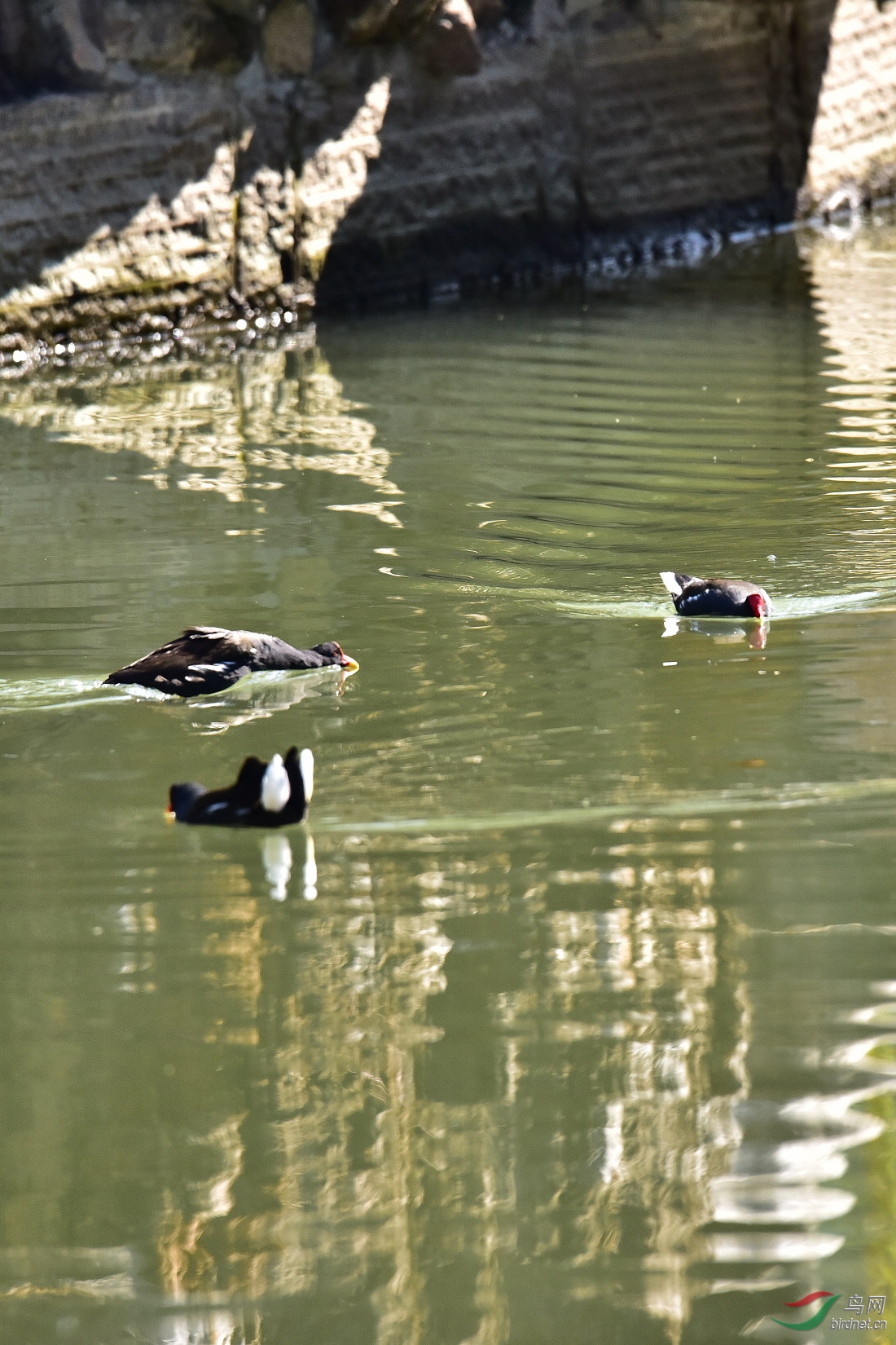 DSC_0091.JPG