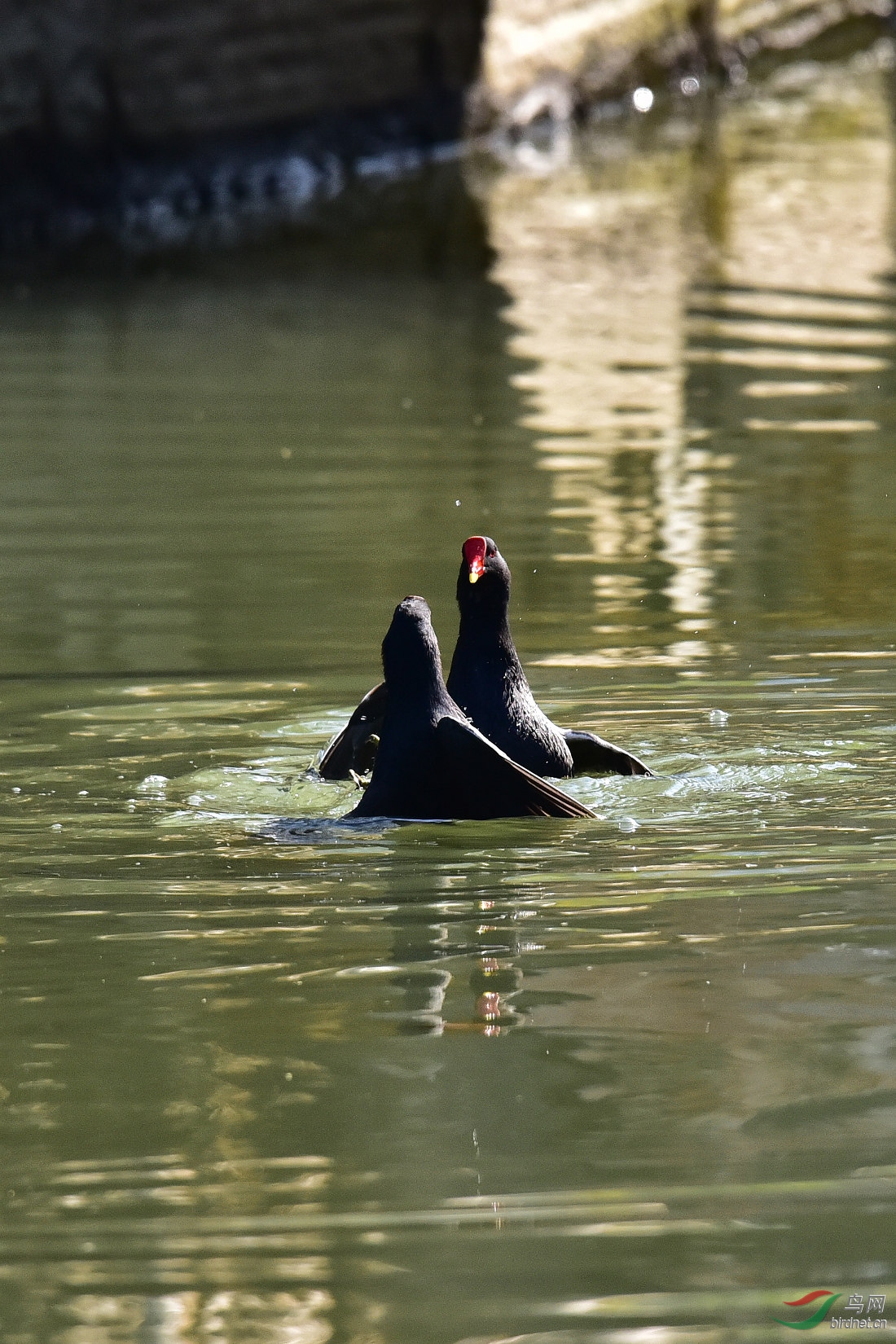 DSC_0105.JPG
