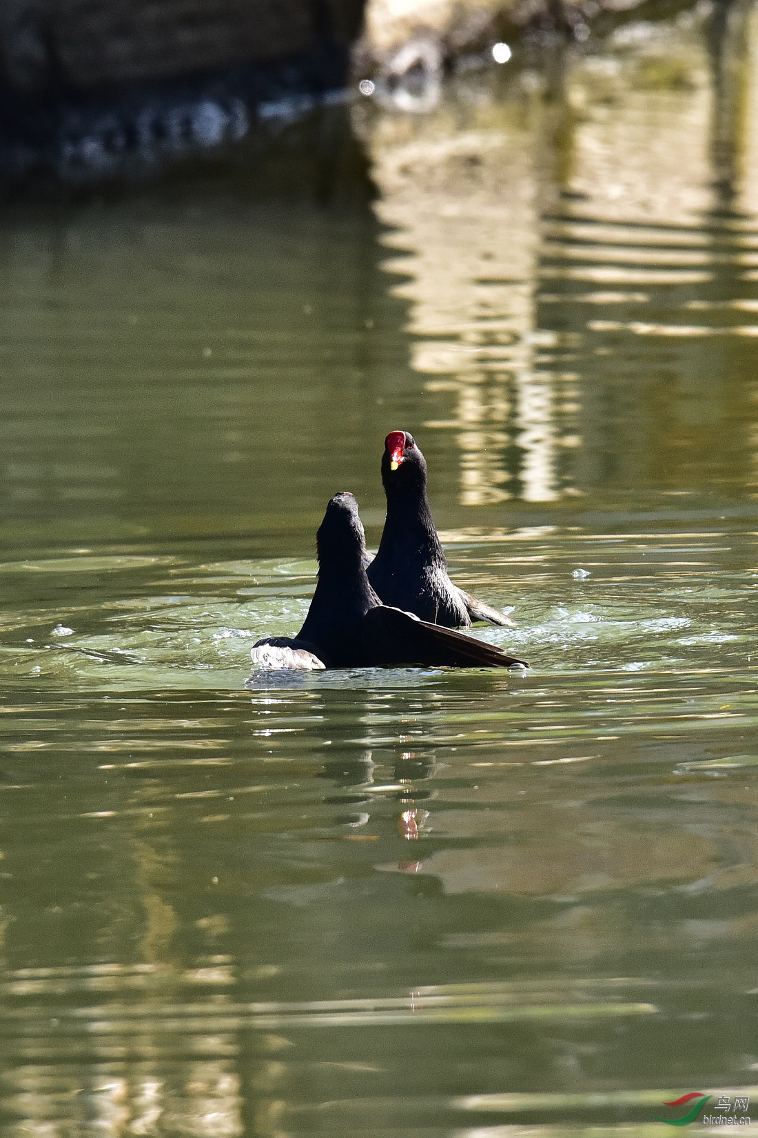 DSC_0107.JPG