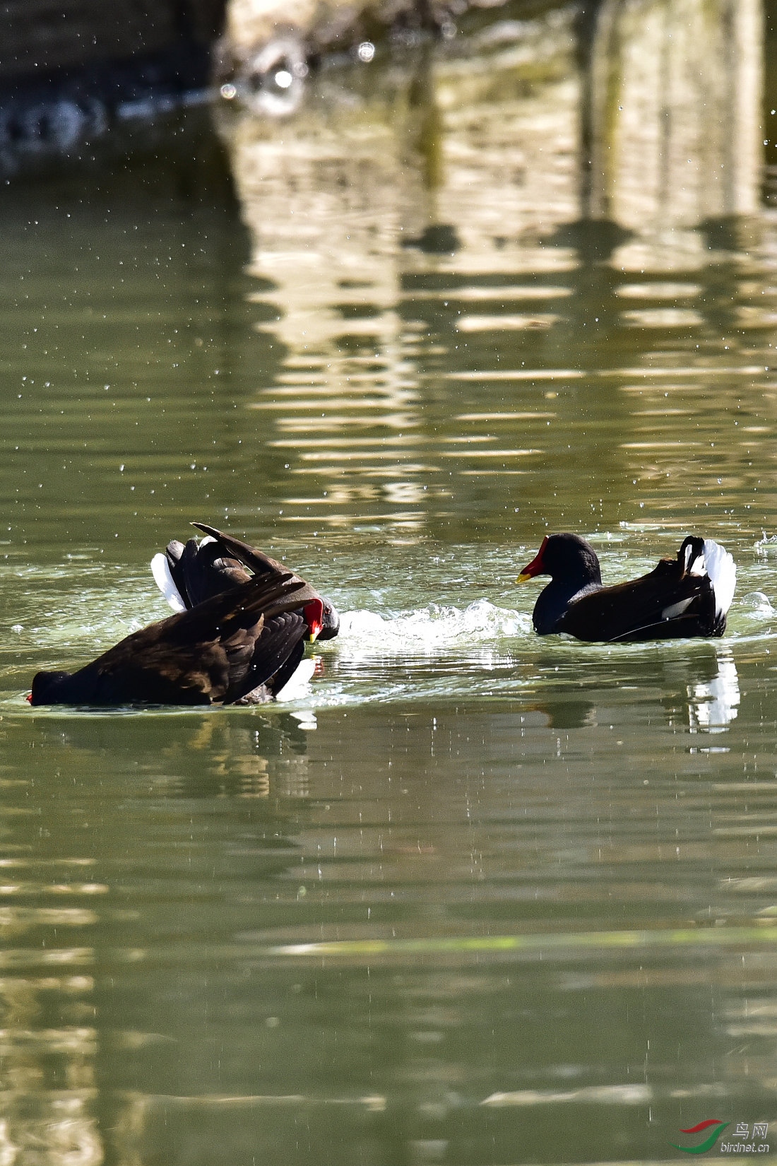 DSC_0118.JPG