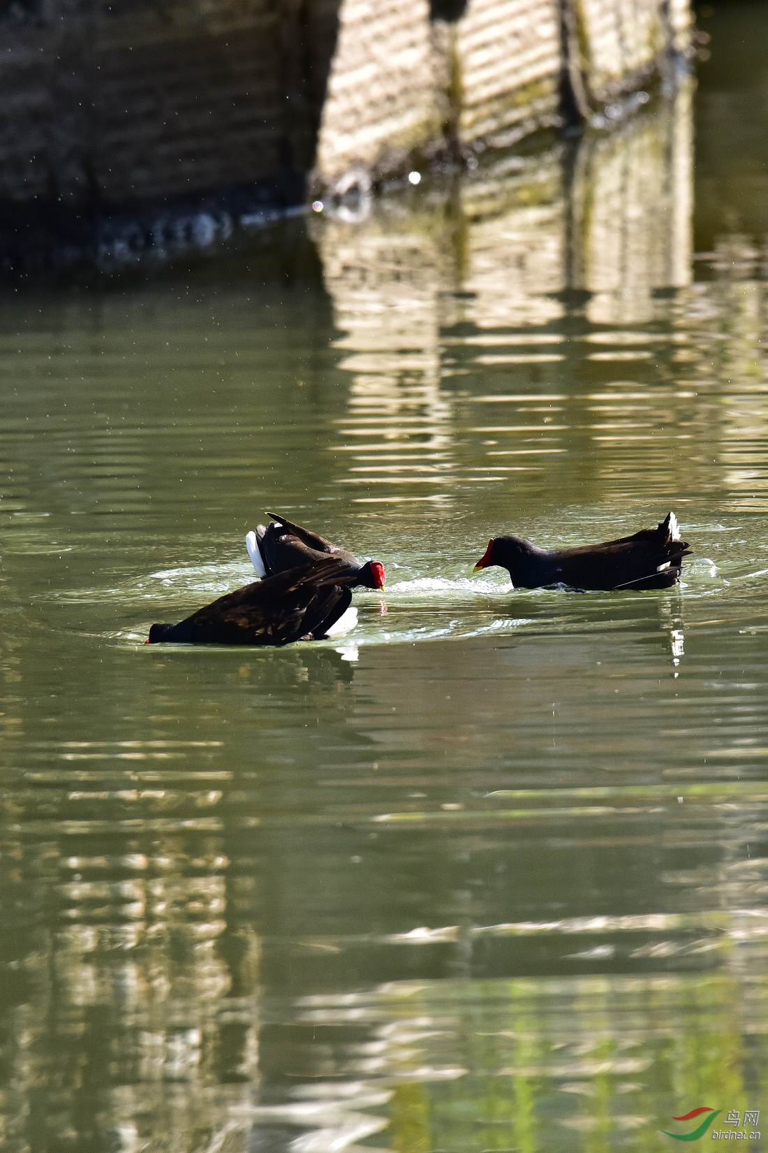 DSC_0119.JPG